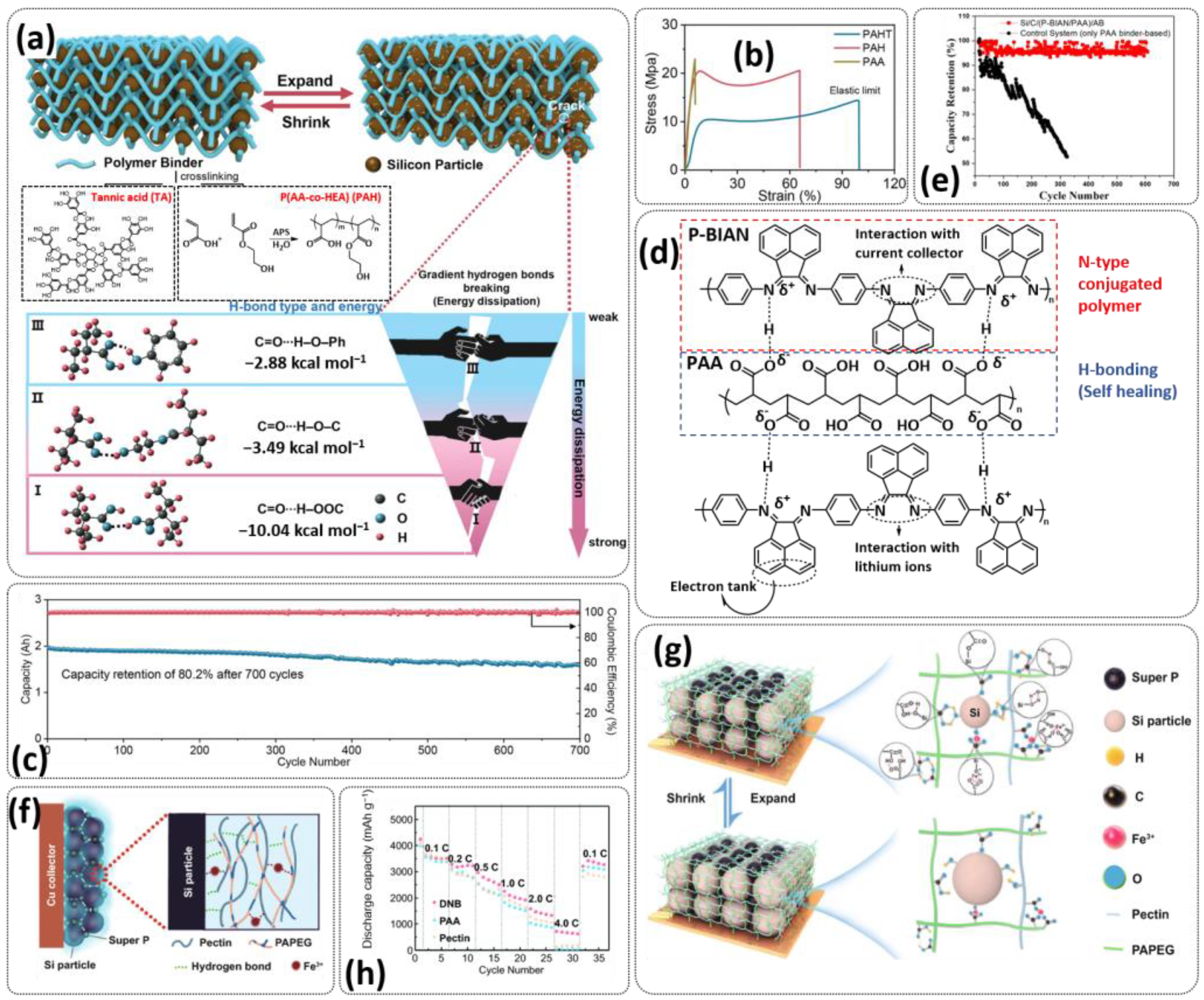 Polymers 15 01145 g016