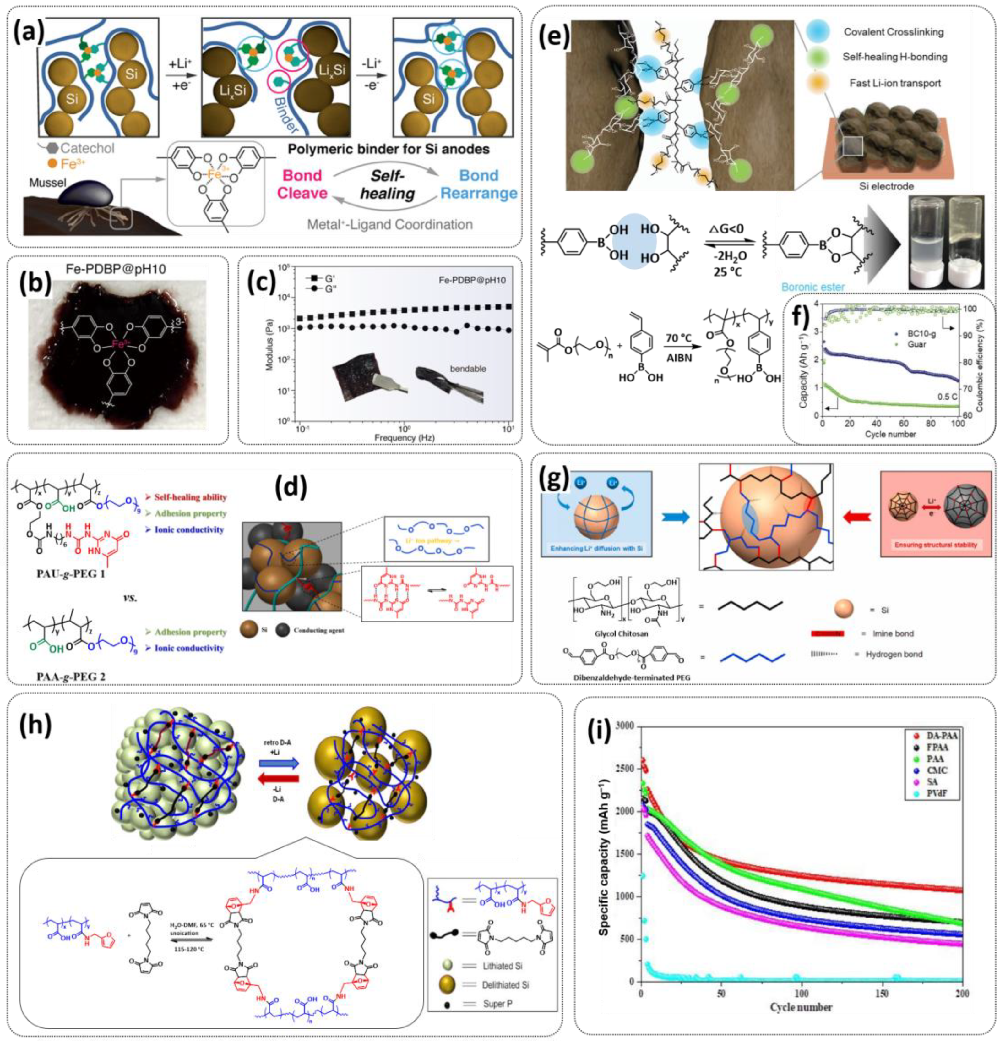 Polymers 15 01145 g017