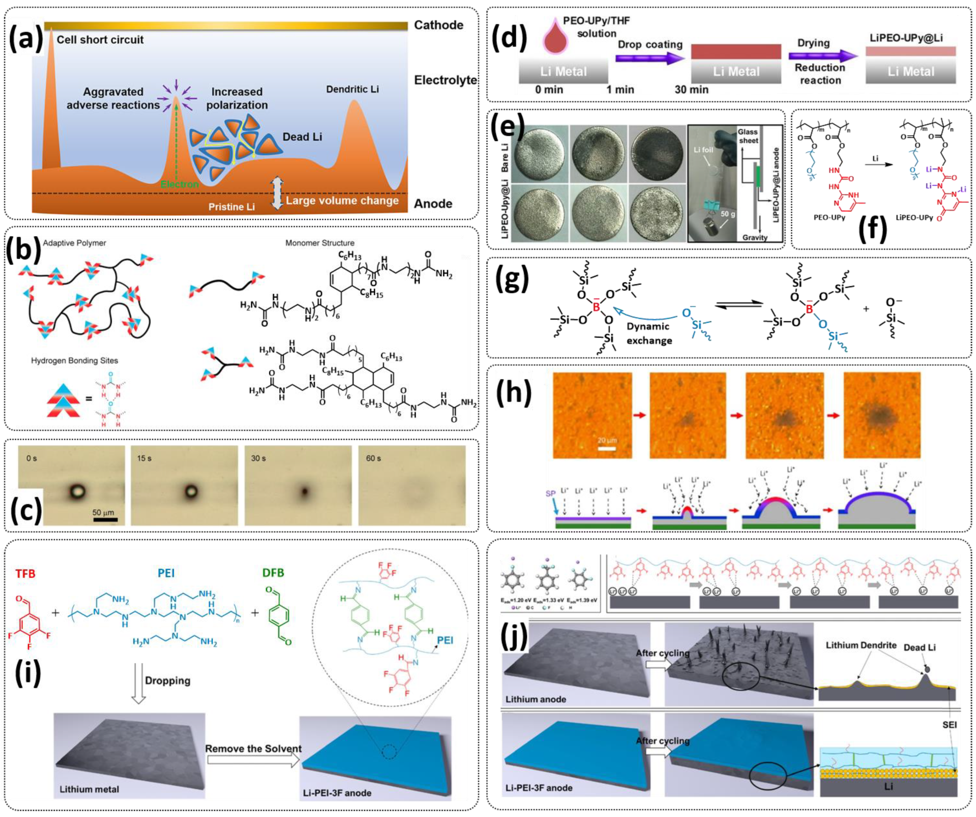 Polymers 15 01145 g018