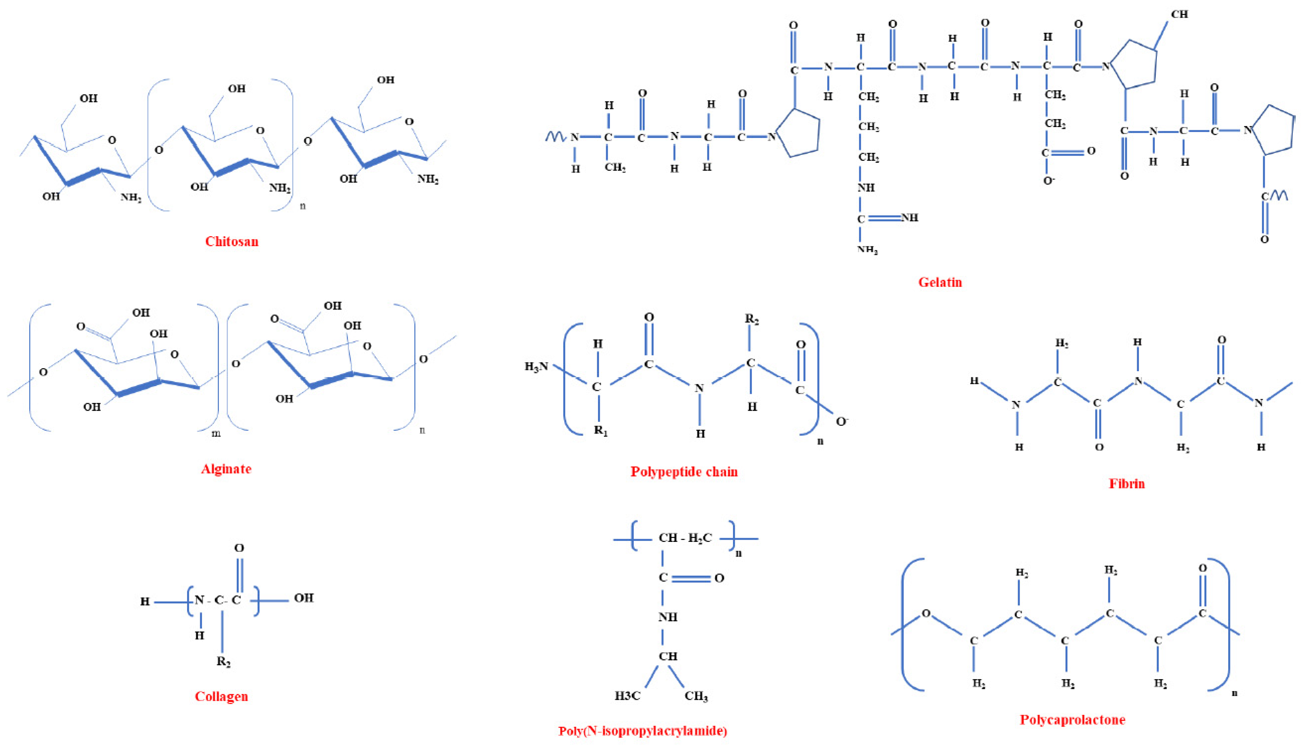 Polymers 15 01177 g005 Polymers 15 01177 g005