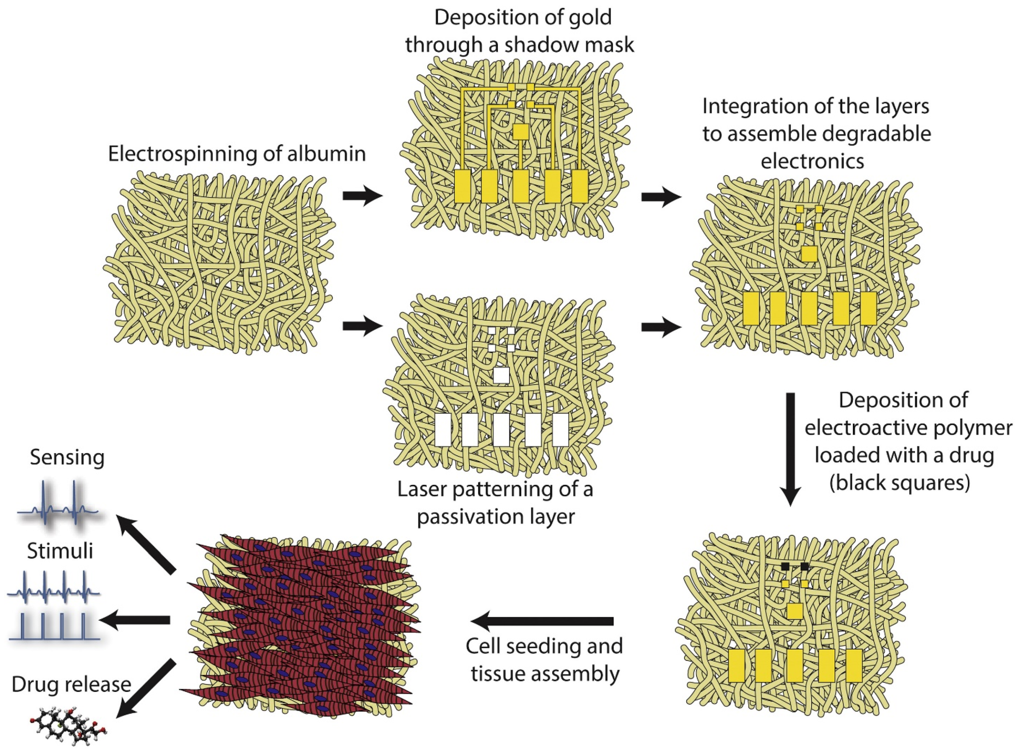 Polymers 15 01177 g007 Polymers 15 01177 g007