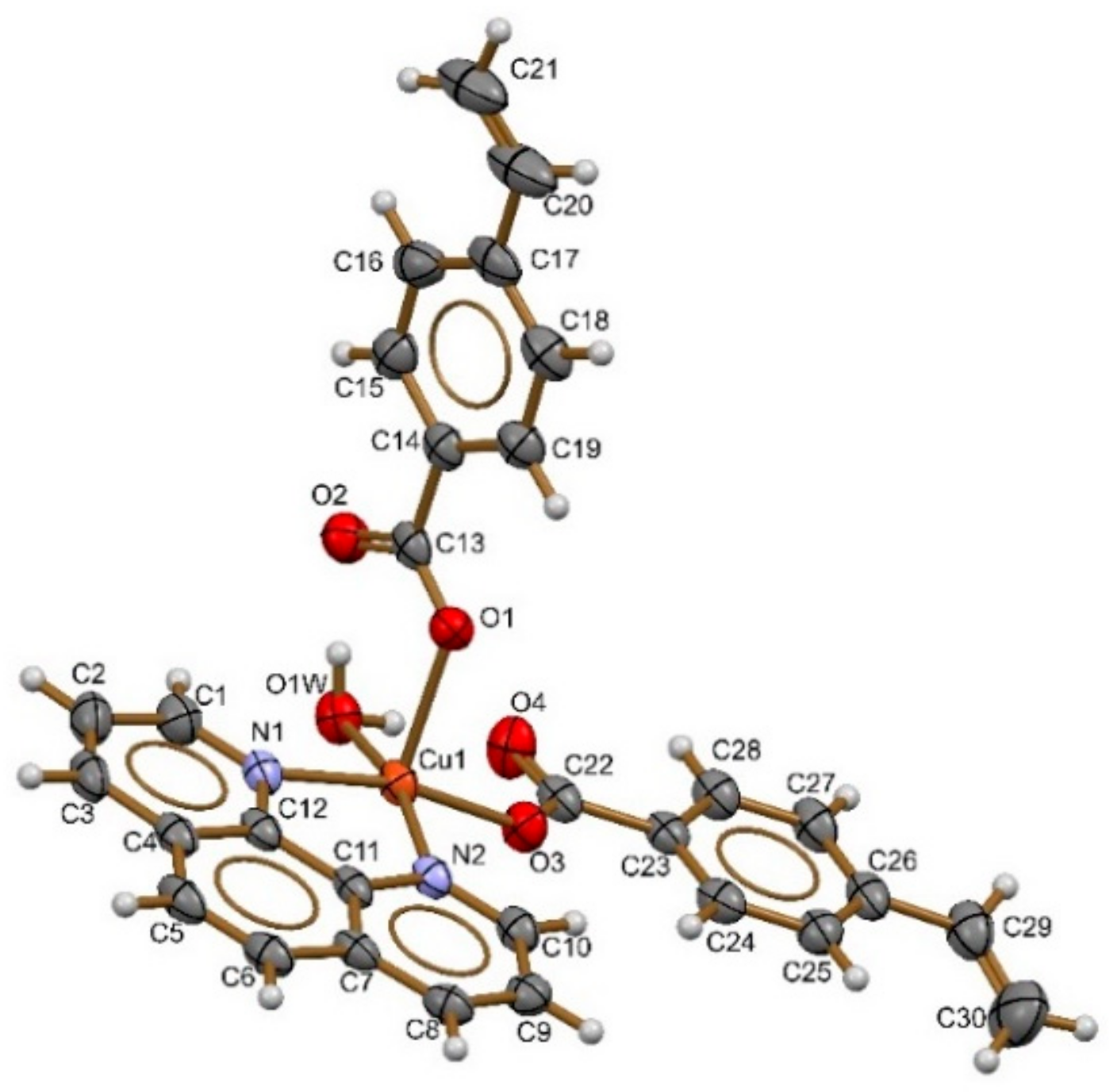 Polymers 15 01186 g001