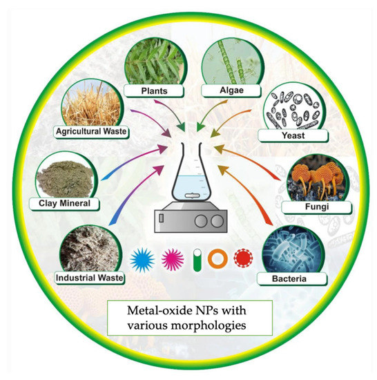 Polymers 15 01196 g004