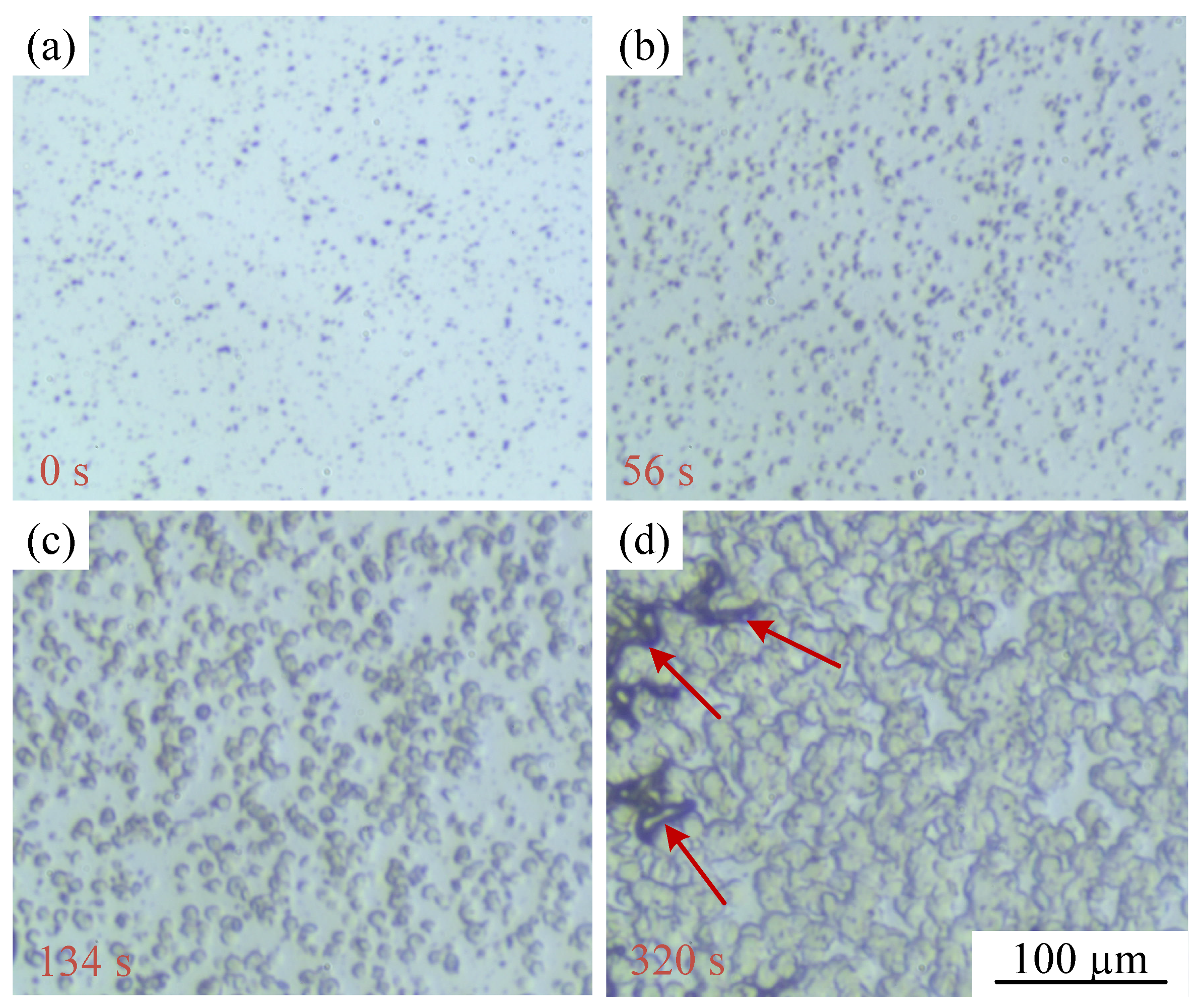 Polymers 15 01204 g004