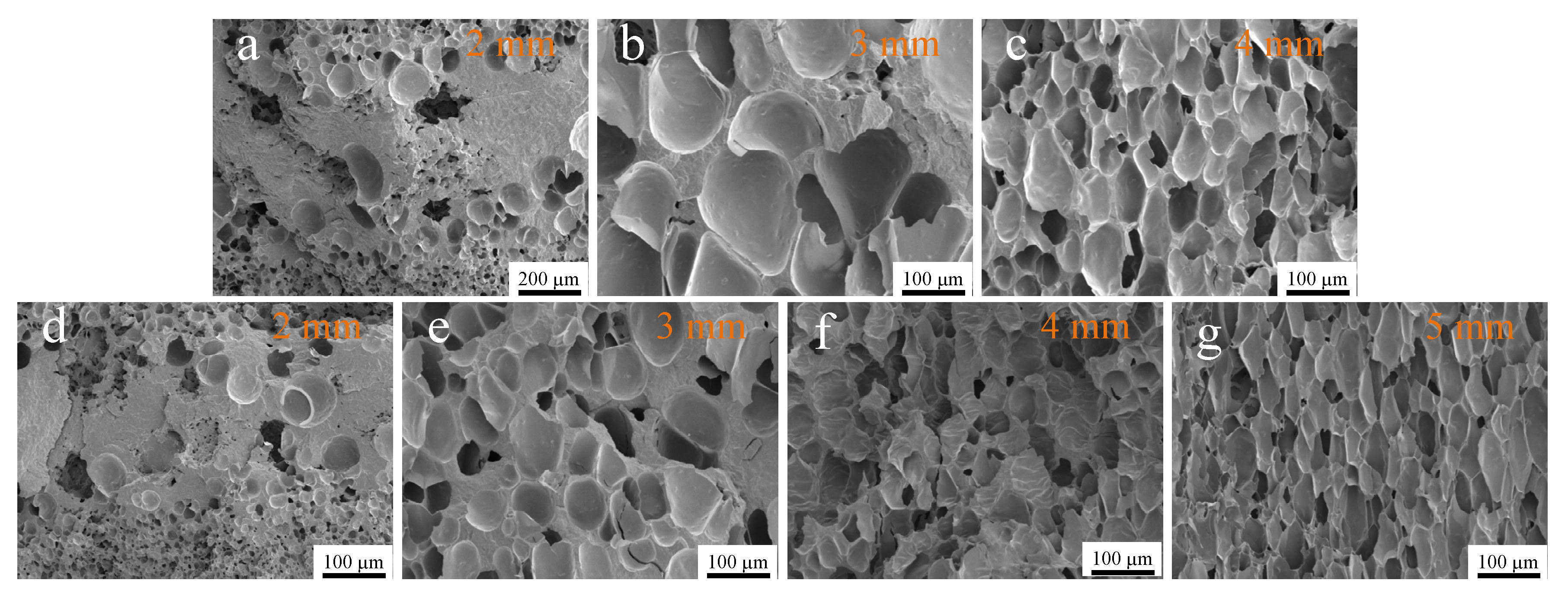 Polymers 15 01204 g009
