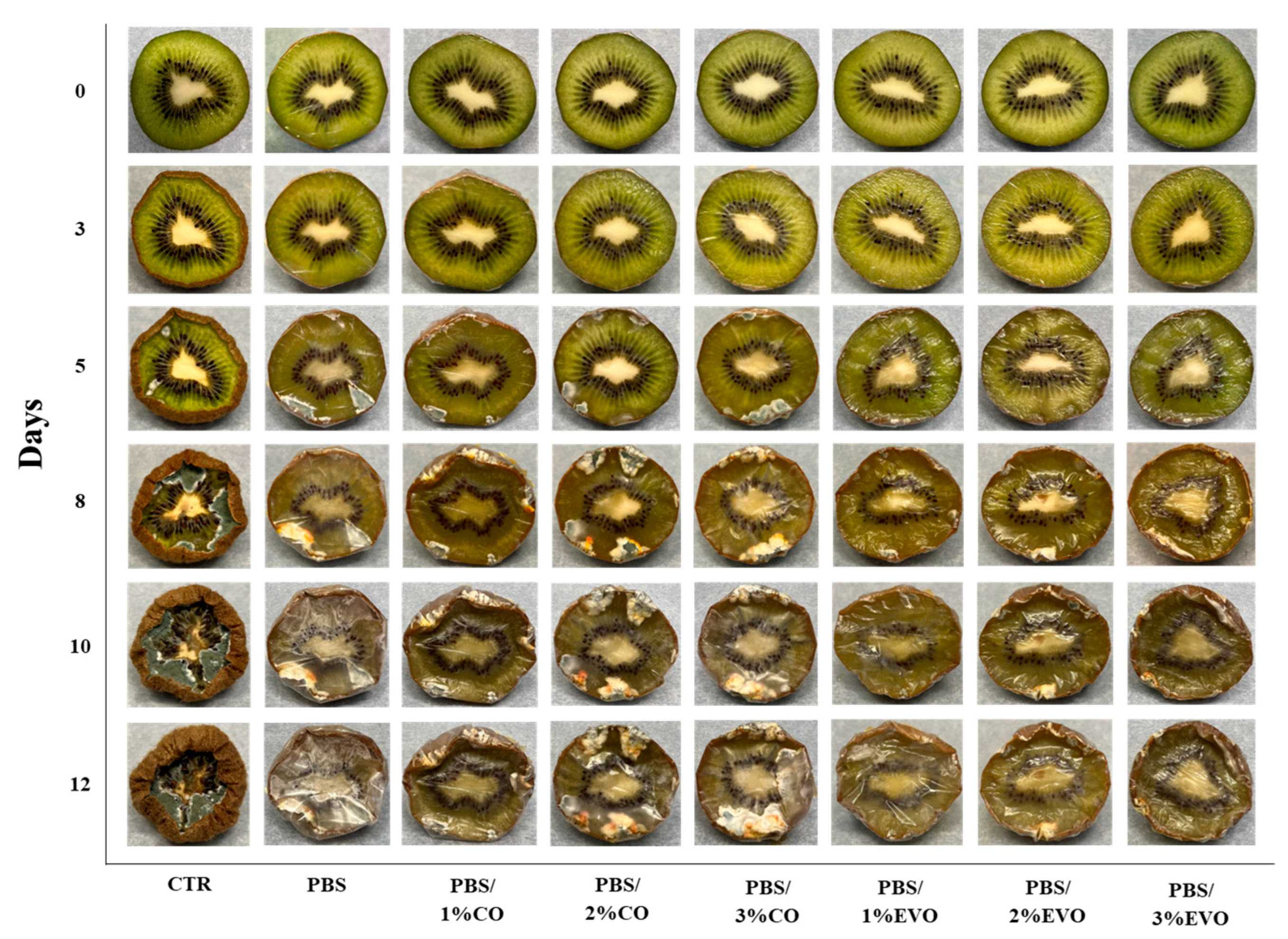 Polymers 15 01212 g009