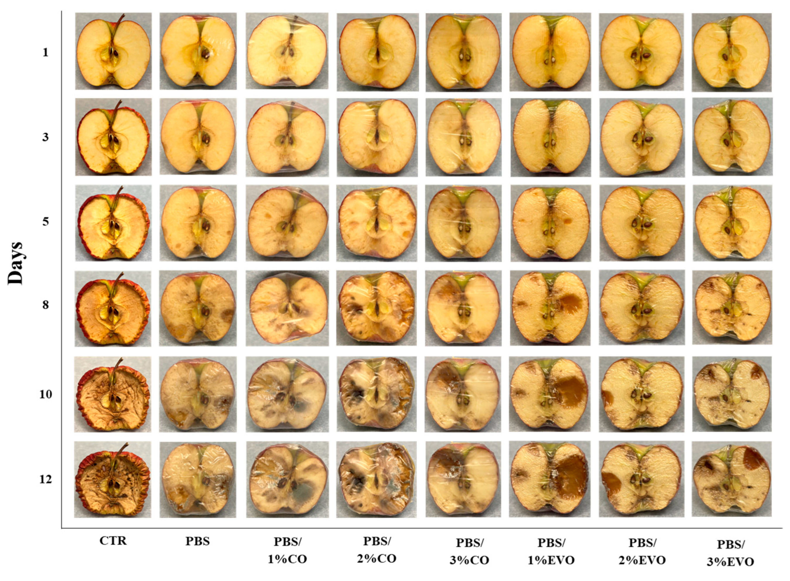 Polymers 15 01212 g010