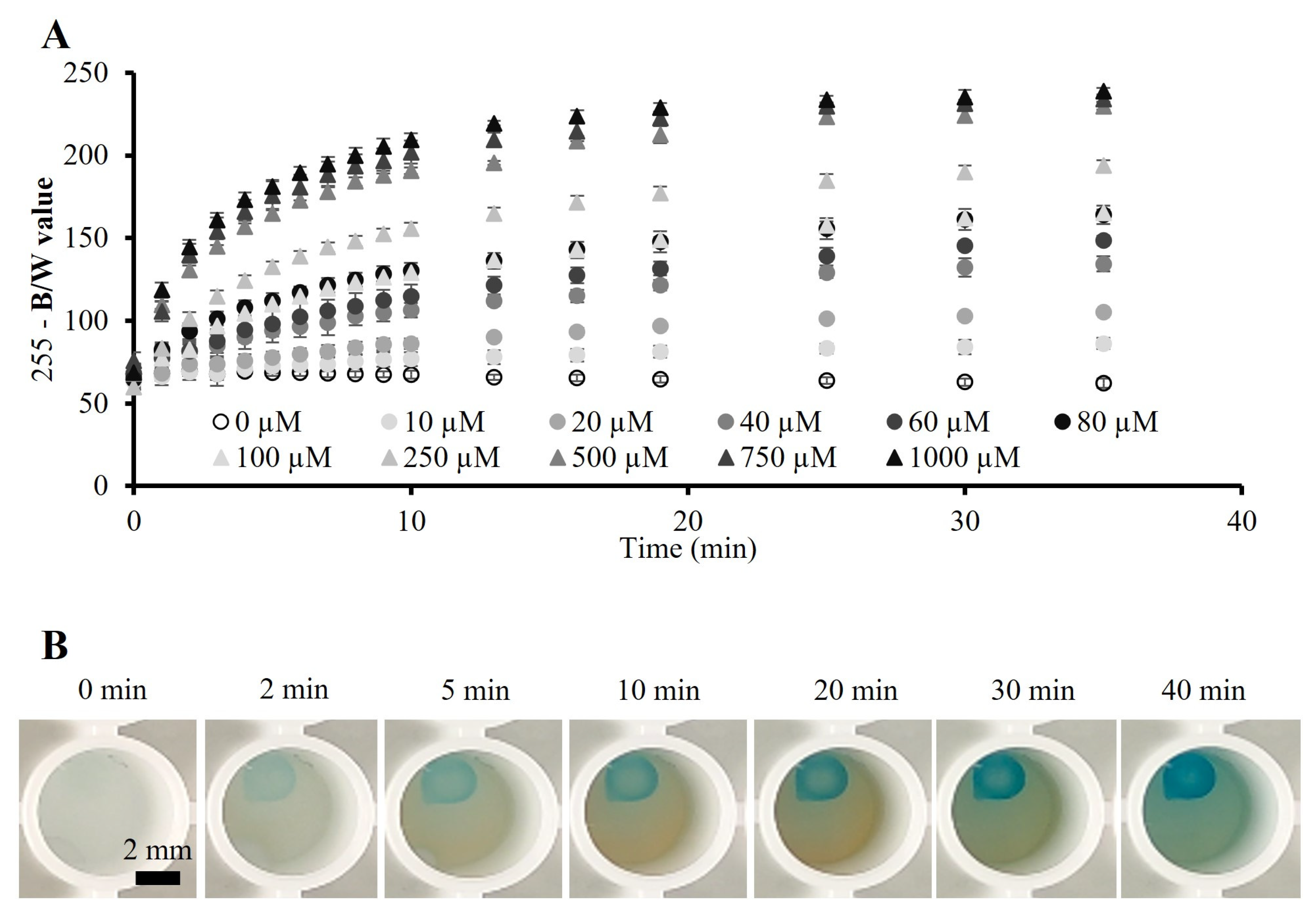 Polymers 15 01218 g002