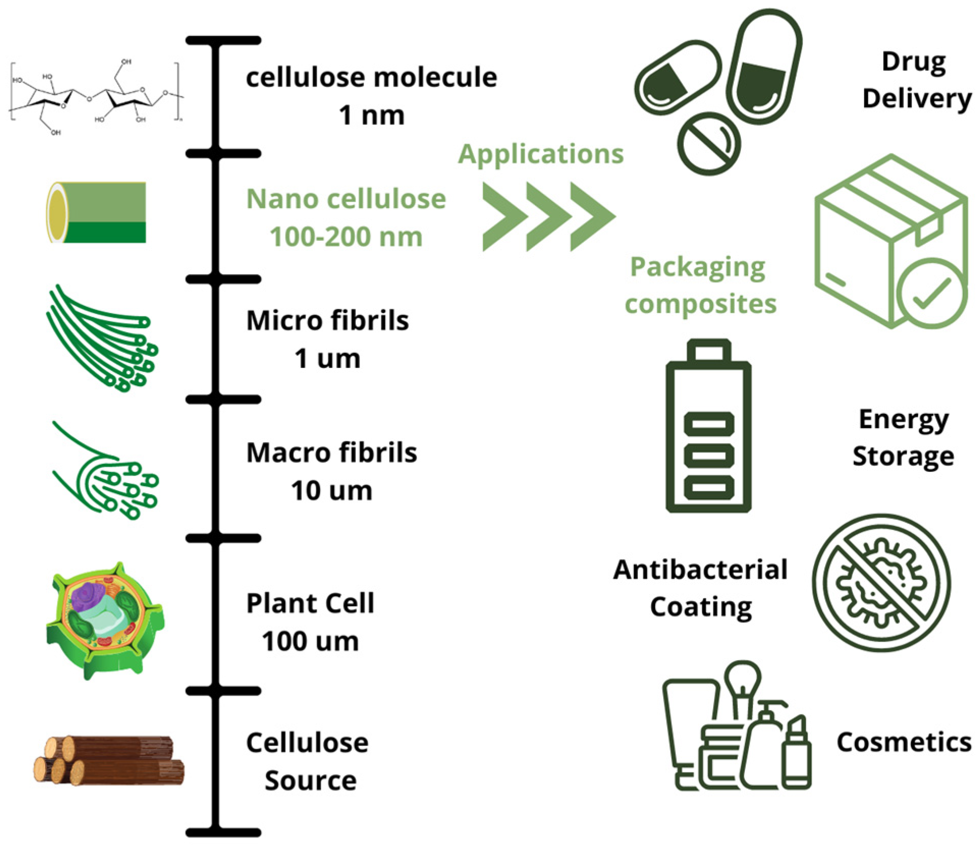 Polymers 15 01219 g001