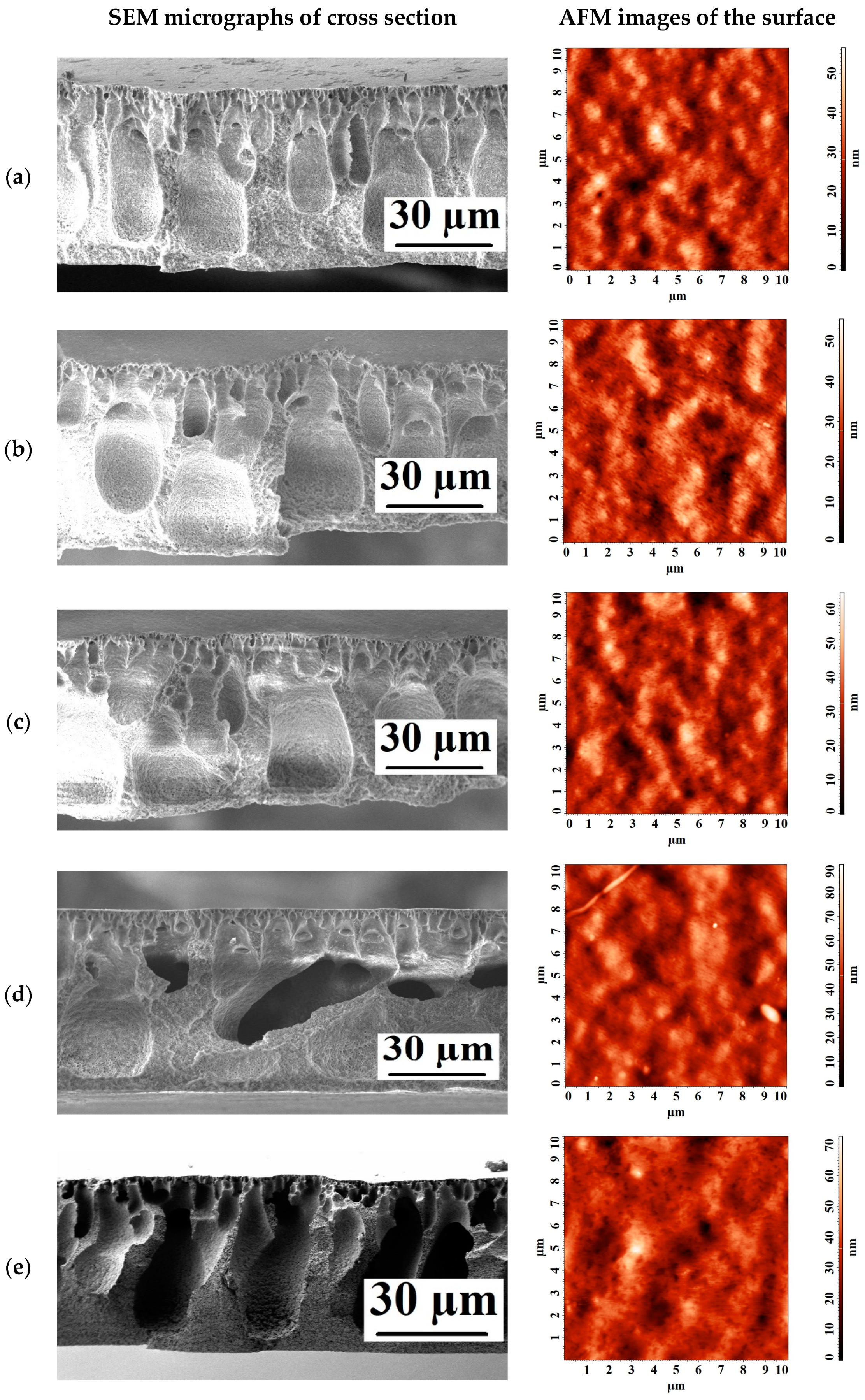 Polymers 15 01222 g005