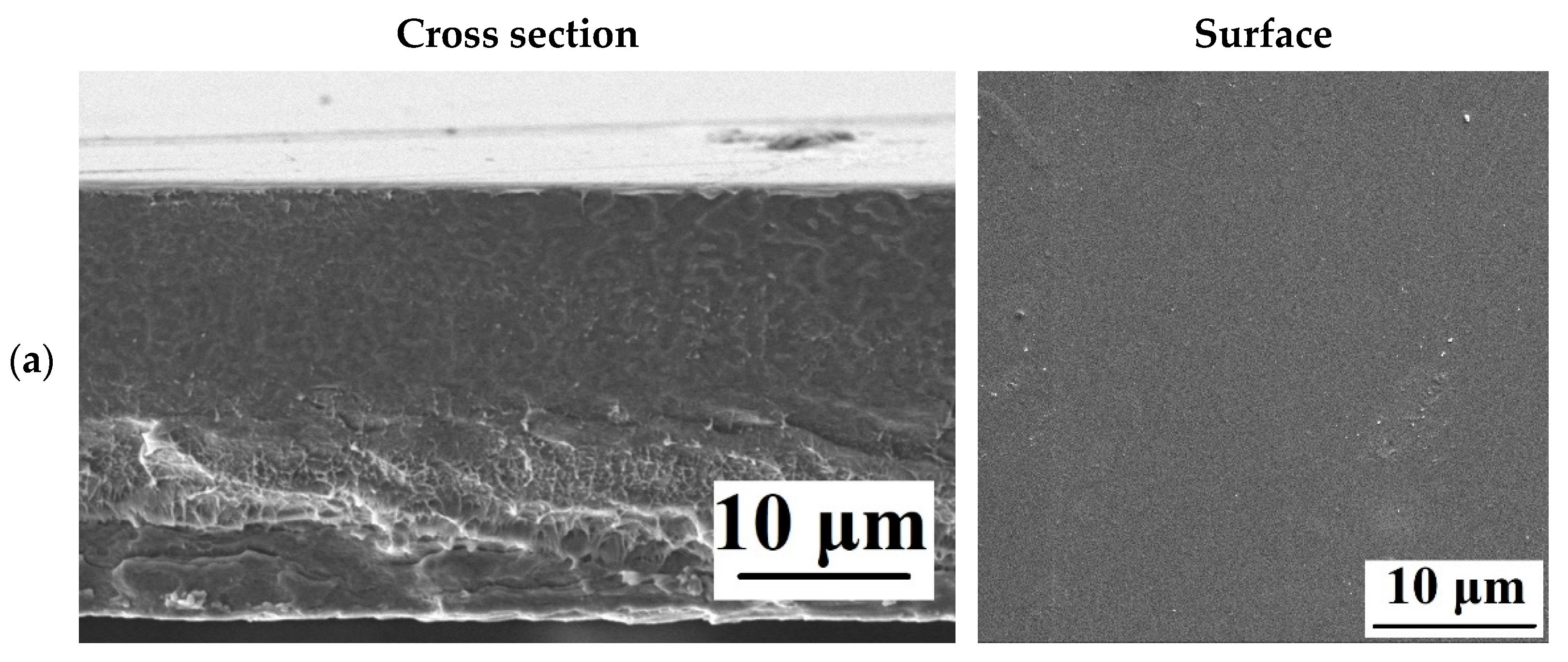Polymers 15 01222 g009a