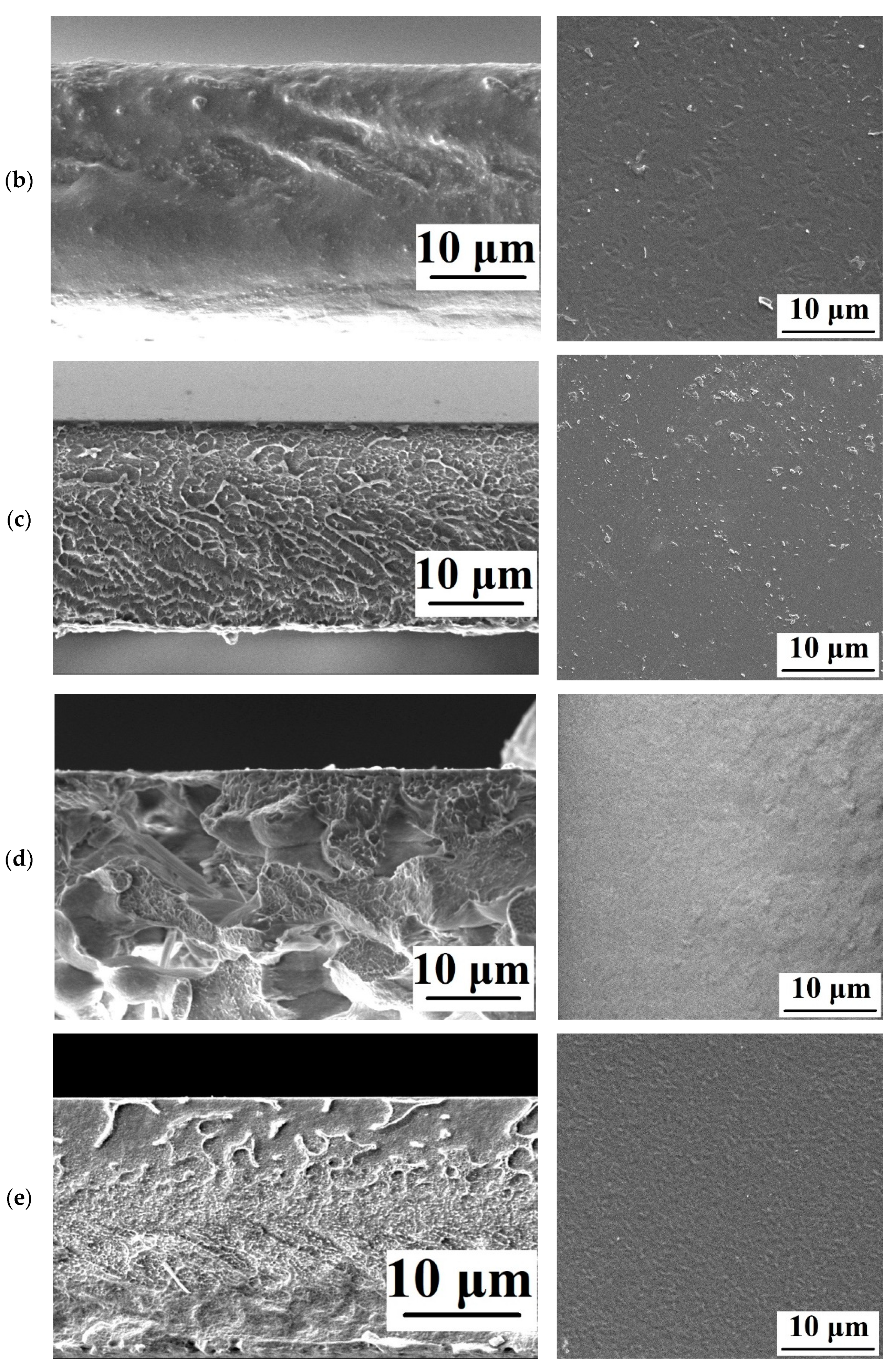 Polymers 15 01222 g009b