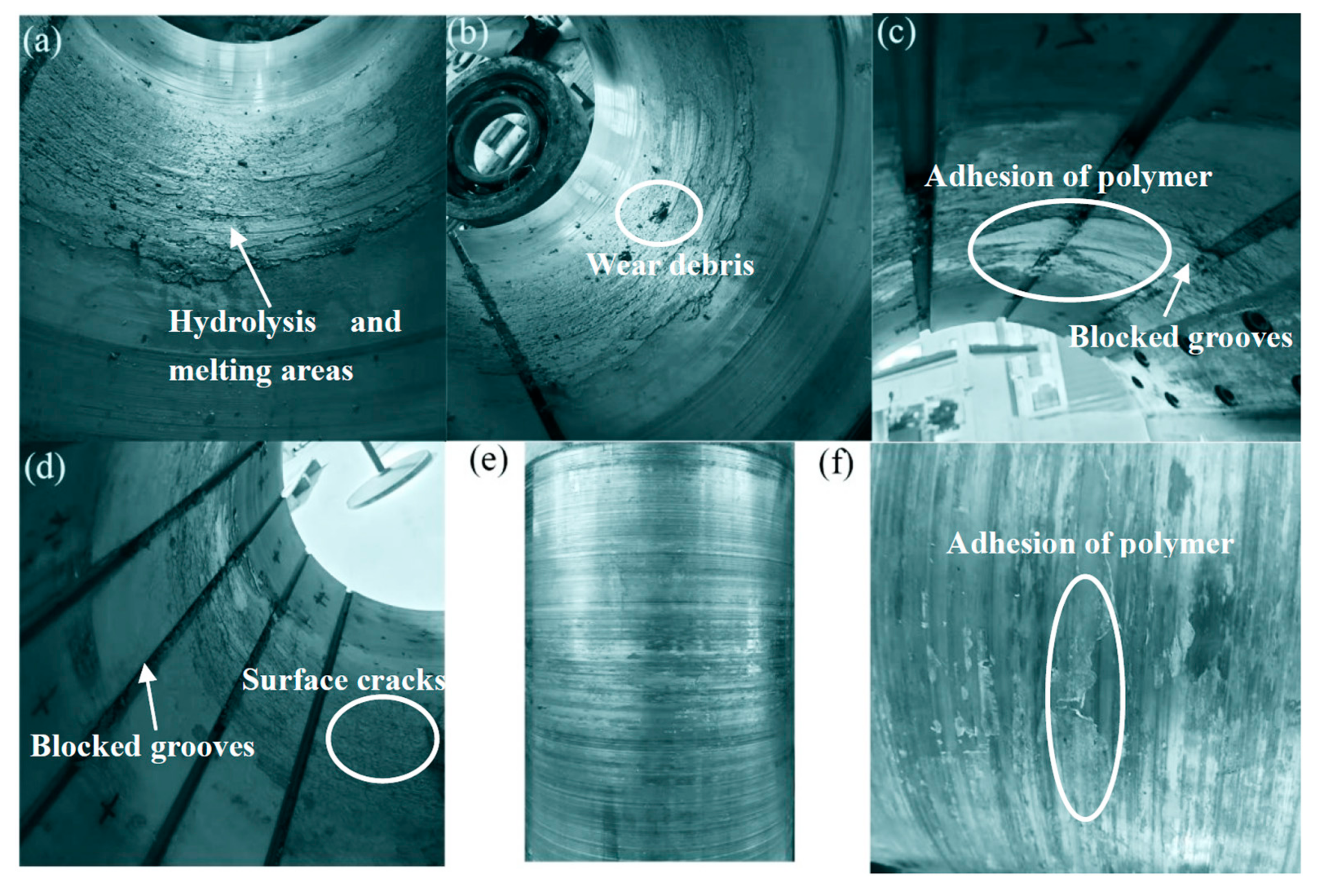 Polymers 15 01227 g010