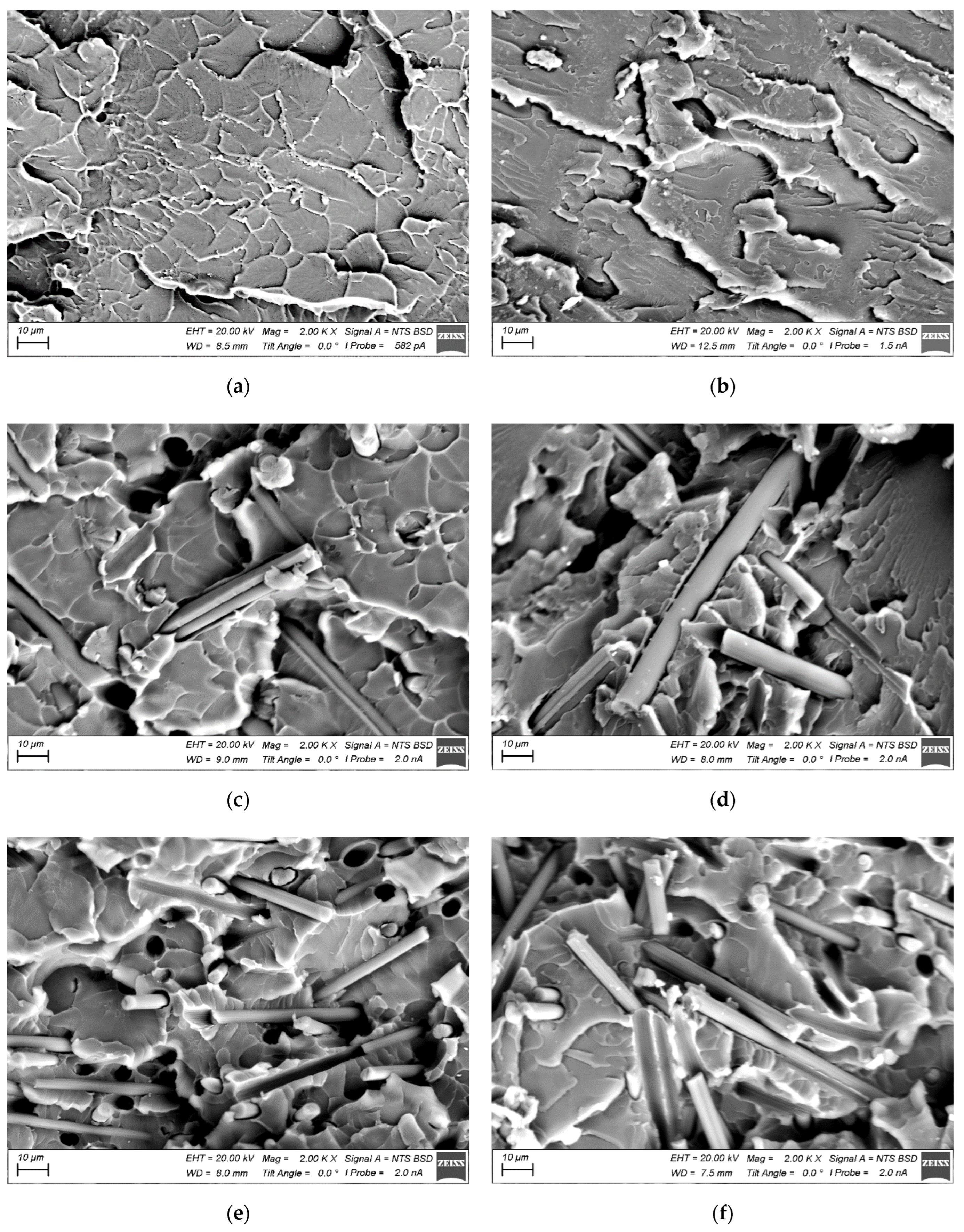 Polymers 15 01228 g002a