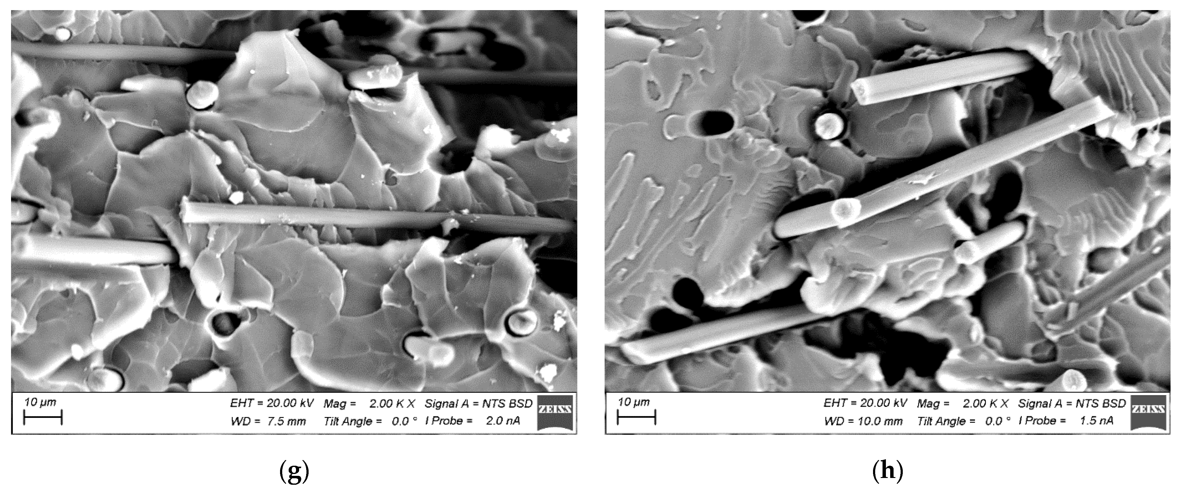 Polymers 15 01228 g002b