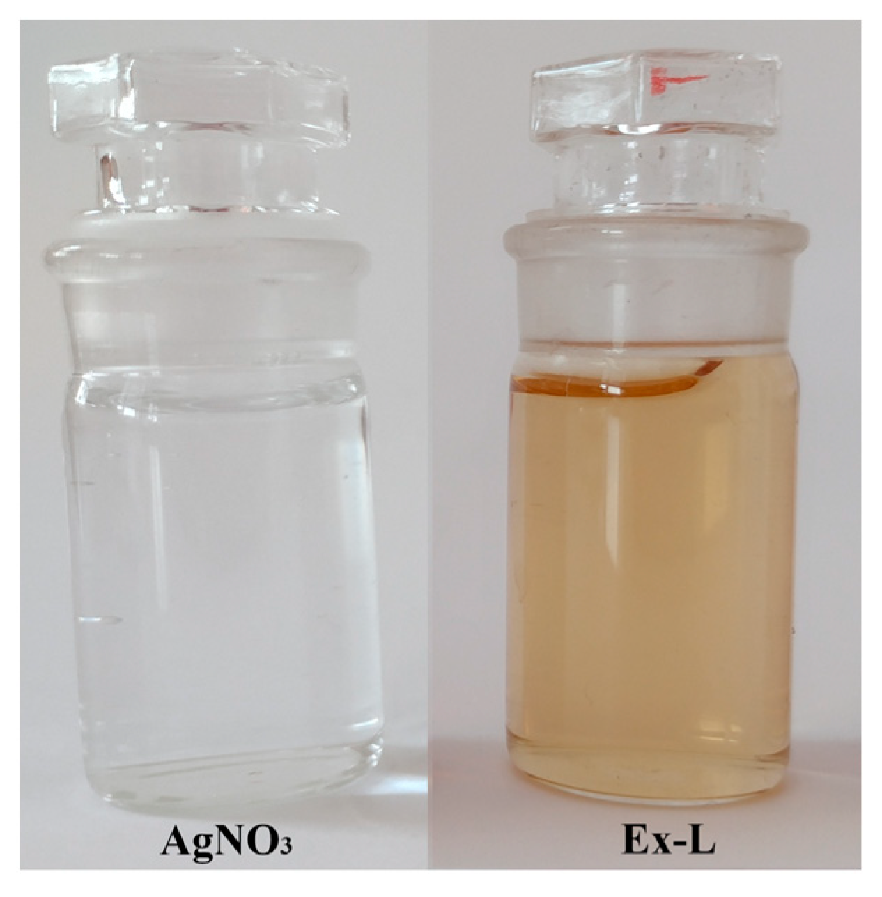 Polymers 15 01238 g001