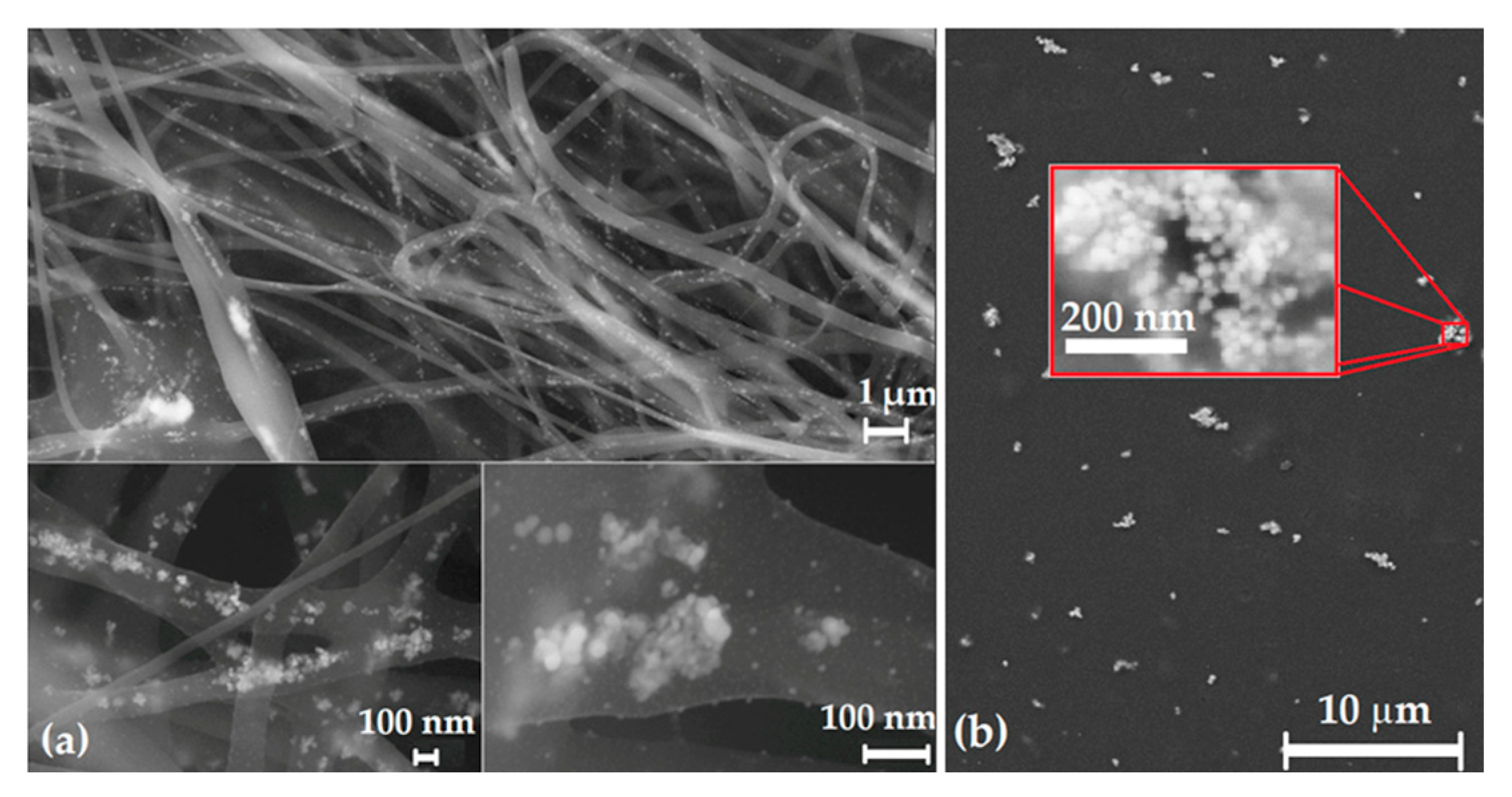 Polymers 15 01238 g006