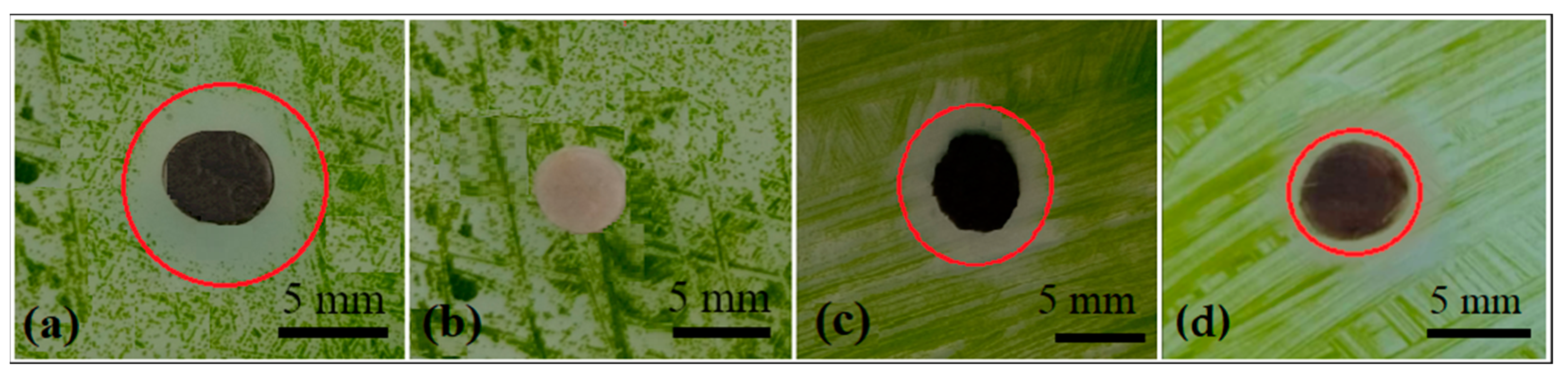 Polymers 15 01238 g007