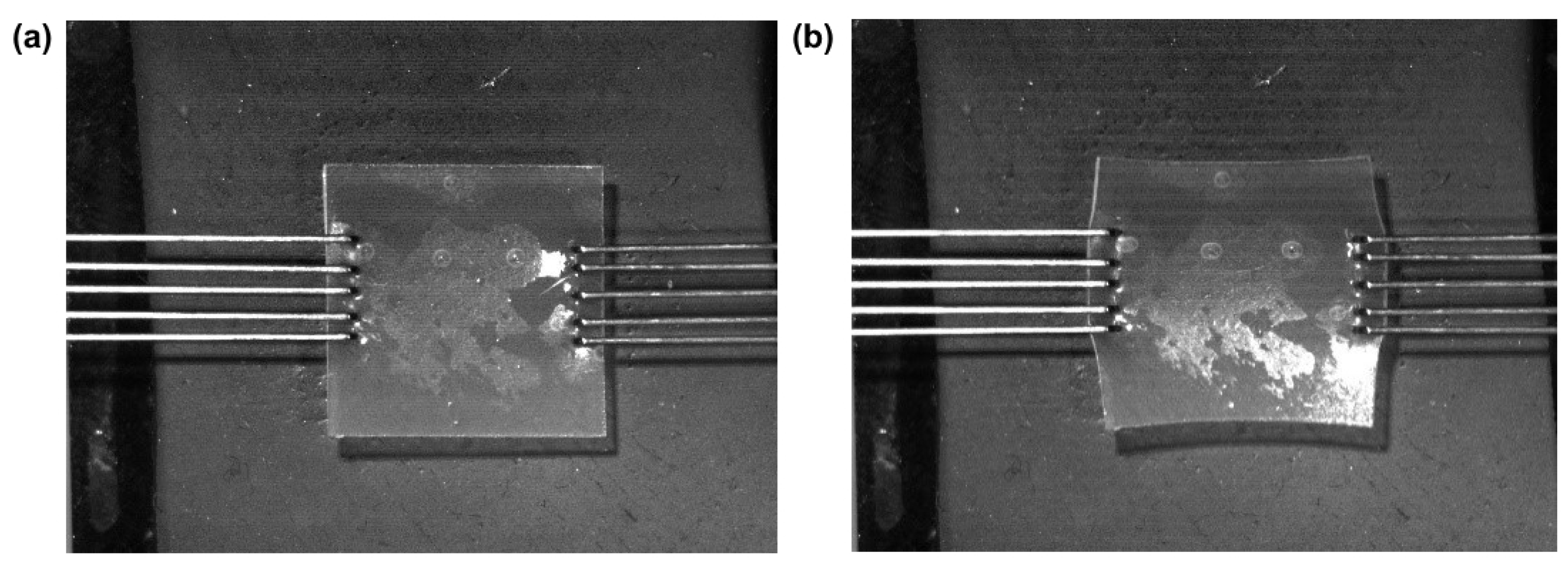 Polymers 15 01239 g002