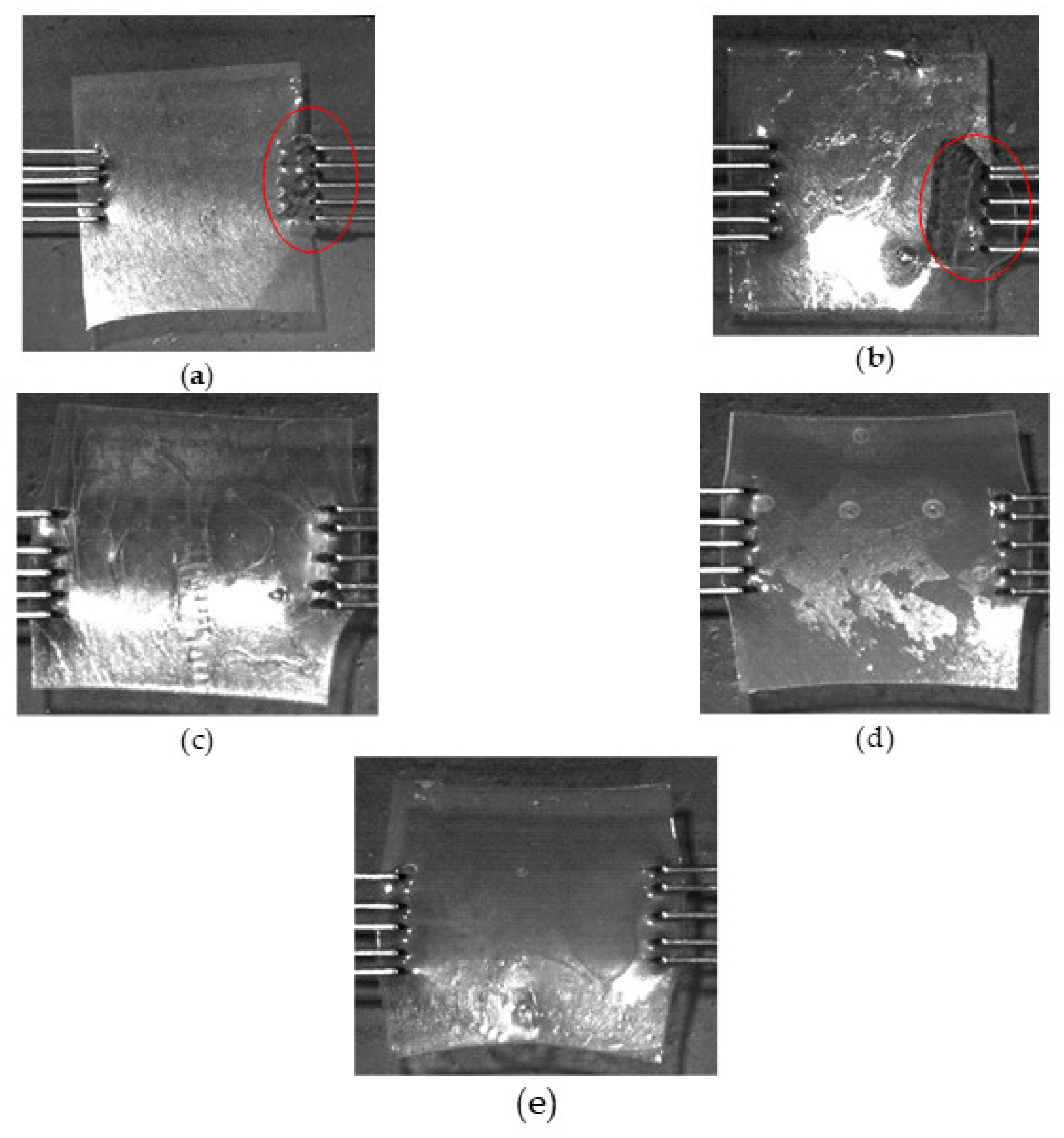 Polymers 15 01239 g005