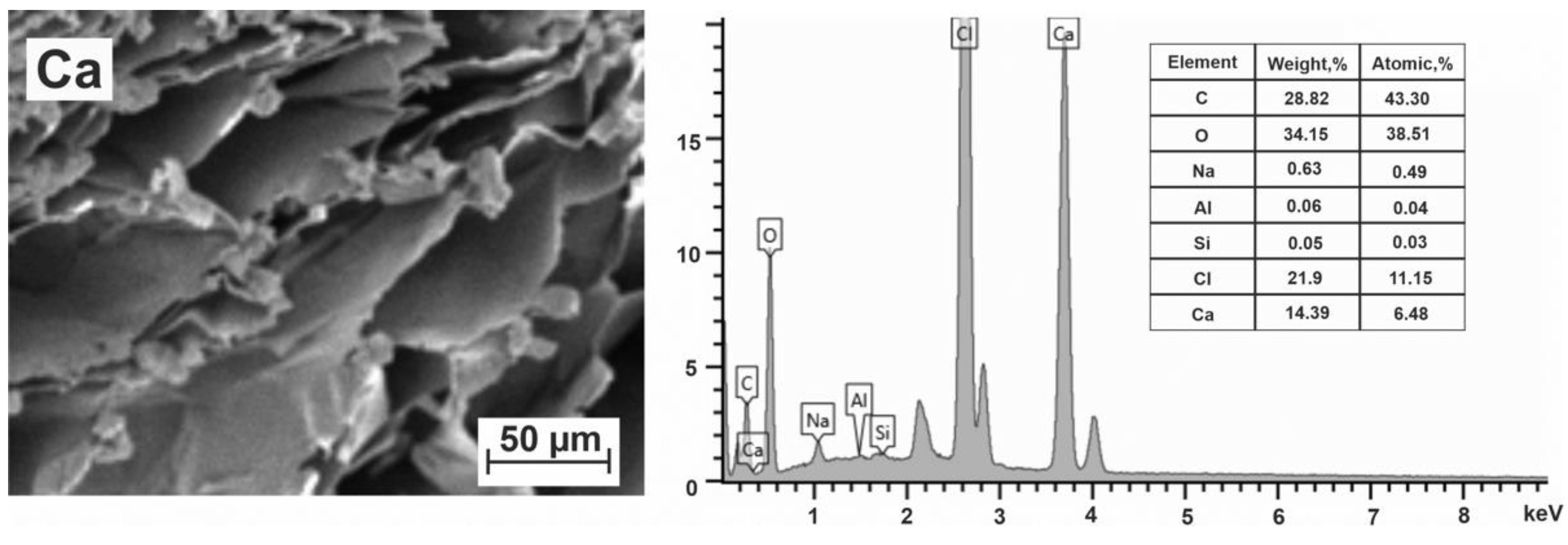 Polymers 15 01243 g005