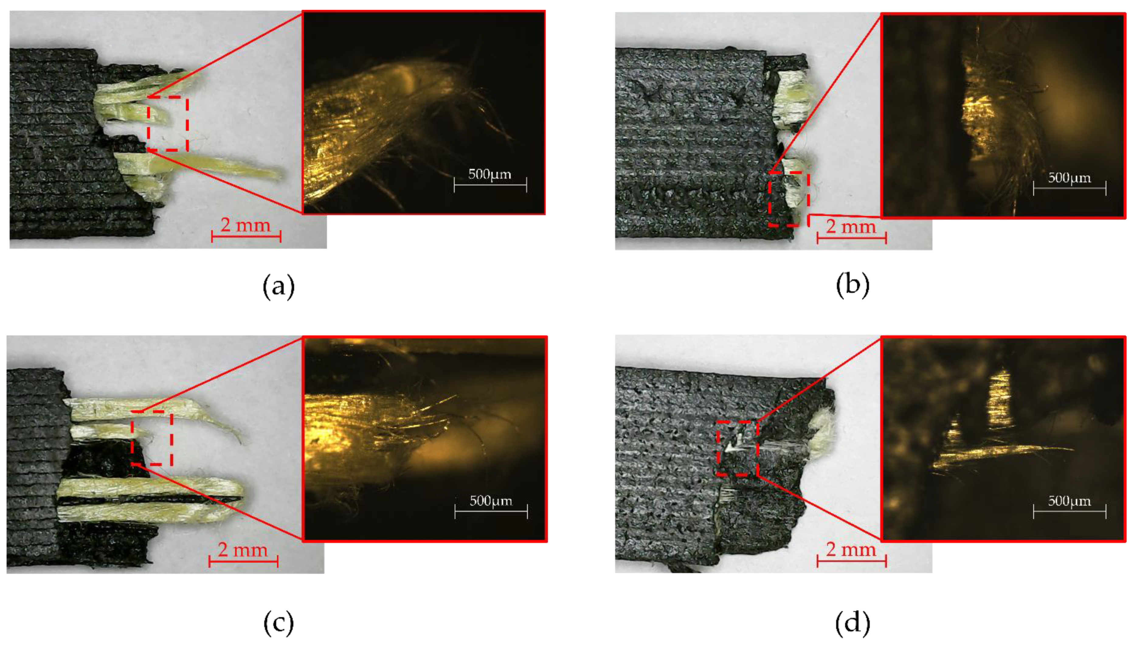 Polymers 15 01252 g007 Polymers 15 01252 g007