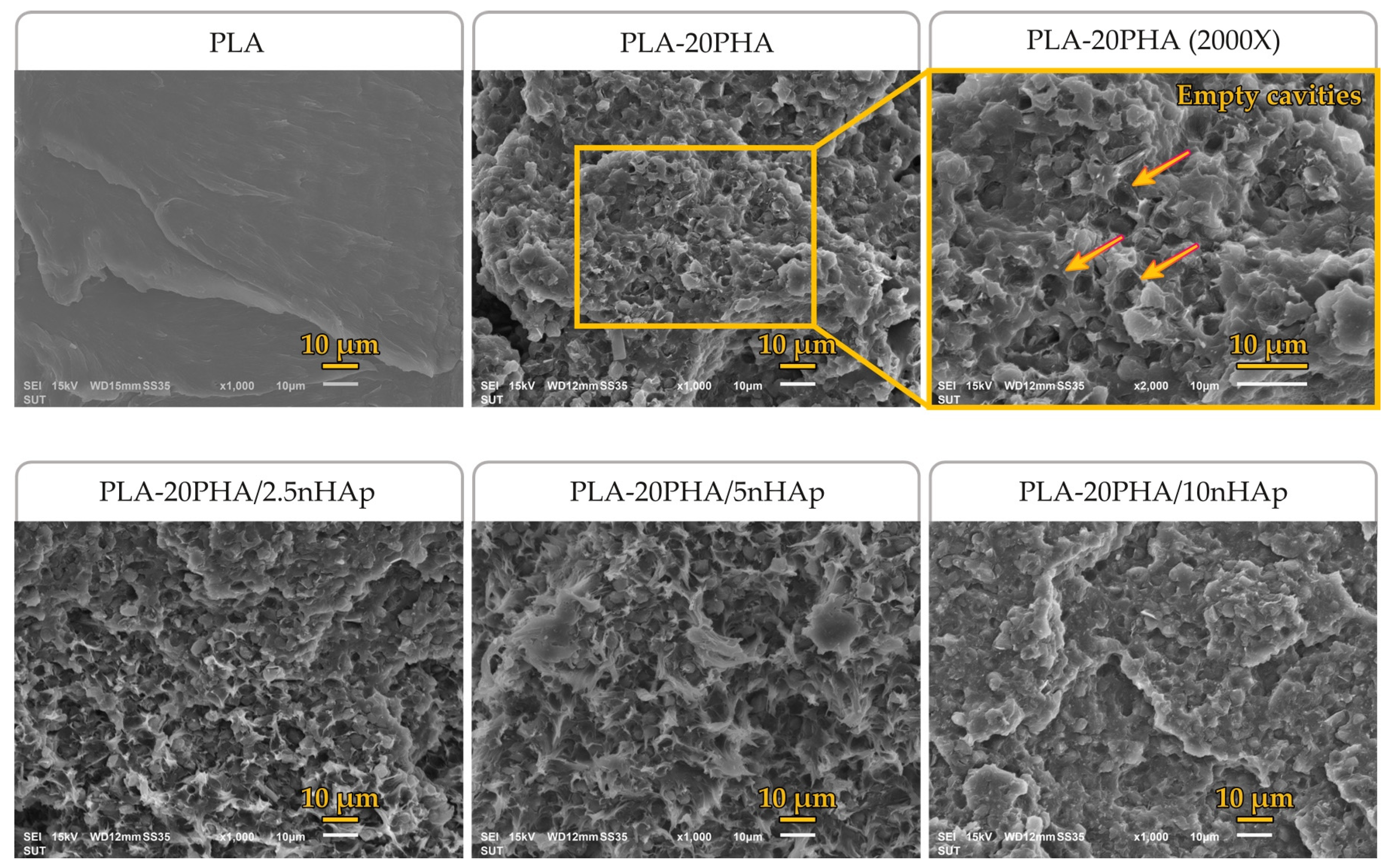 Polymers 15 01261 g002