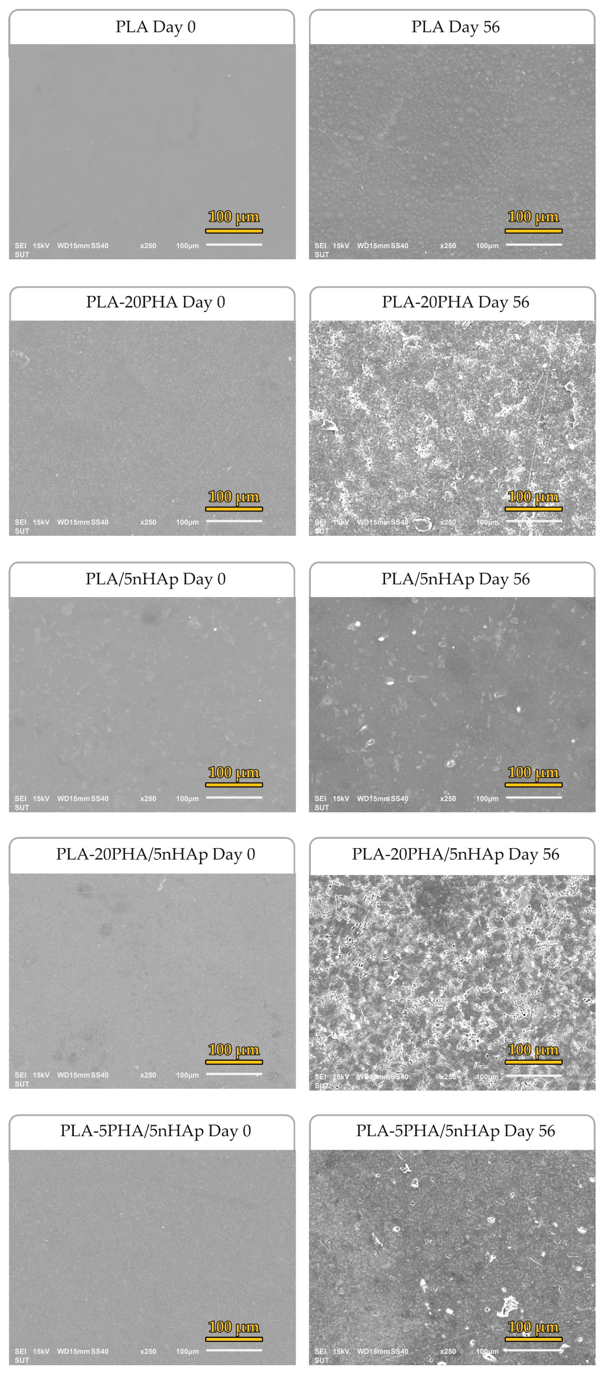 Polymers 15 01261 g008