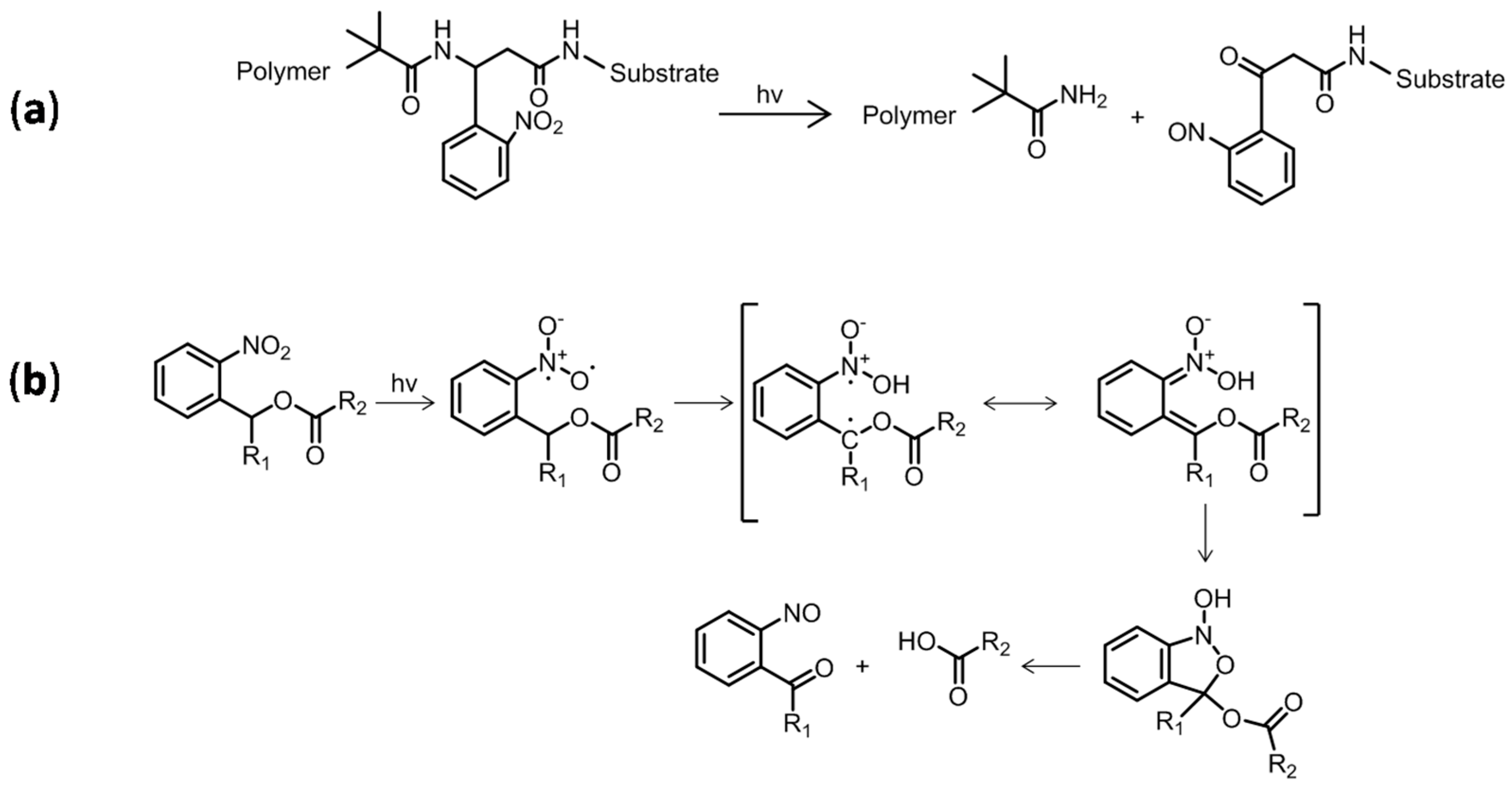 Polymers 15 01265 g001 Polymers 15 01265 g001