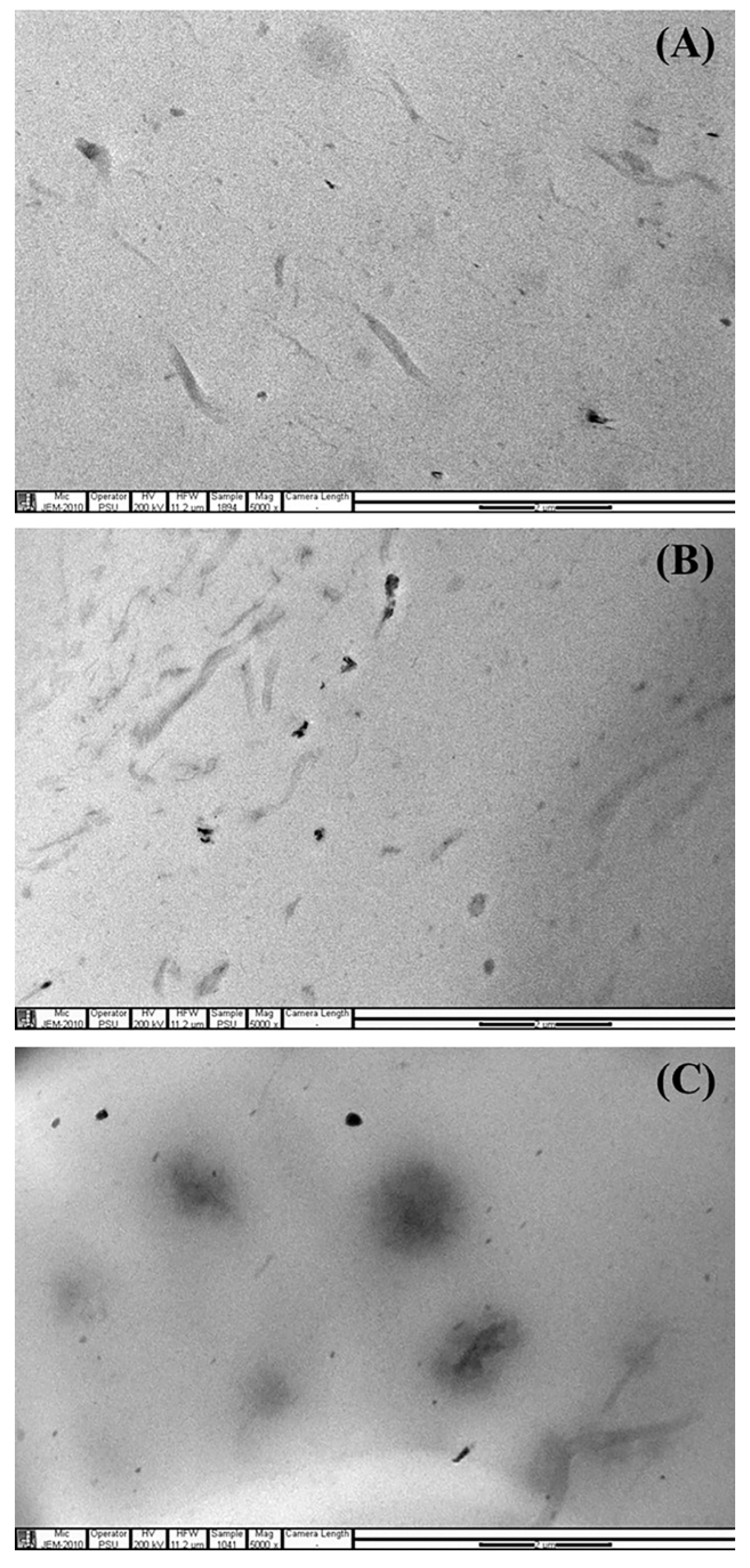 Polymers 15 01274 g002 Polymers 15 01274 g002