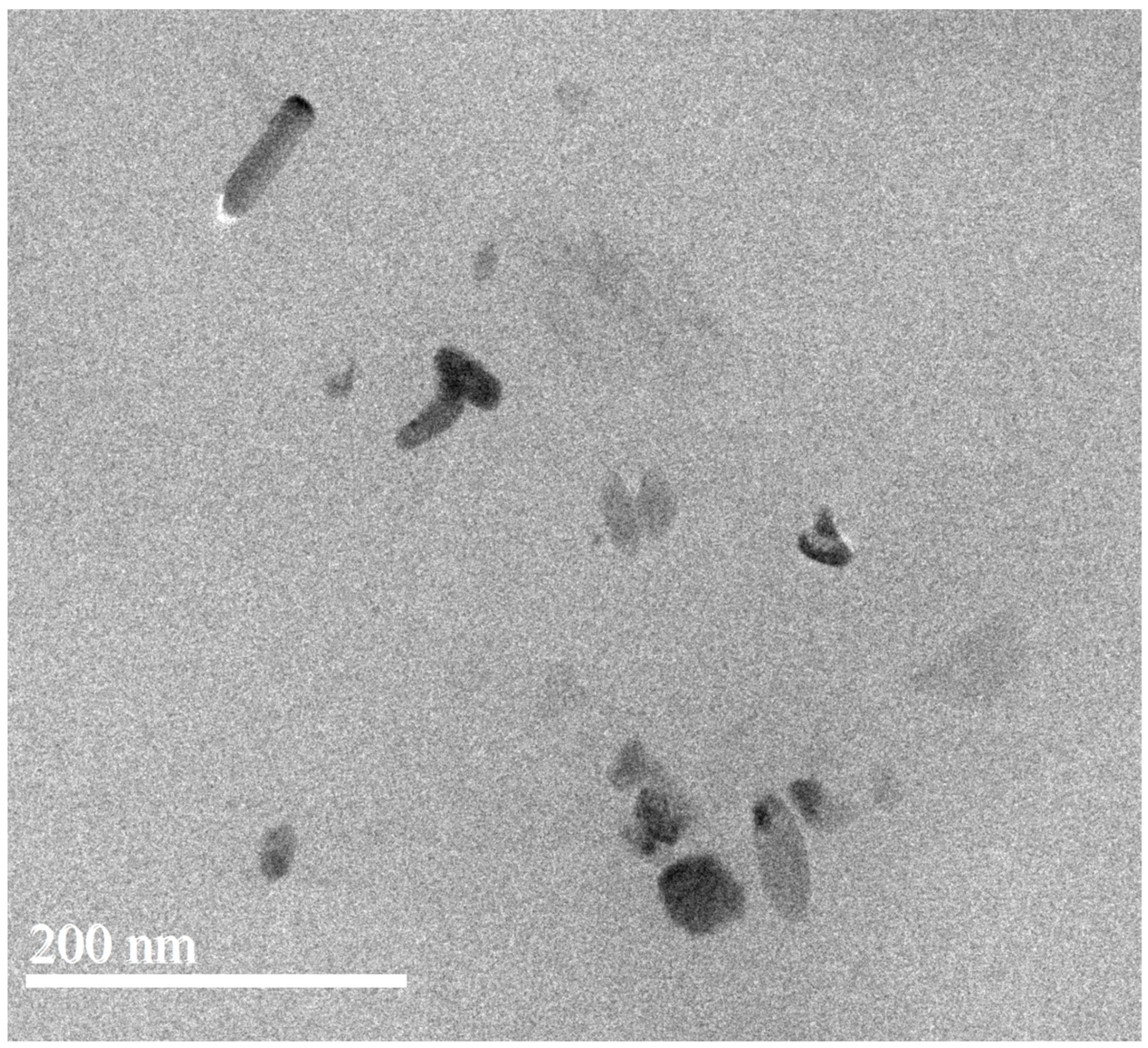 Polymers 15 01276 g004