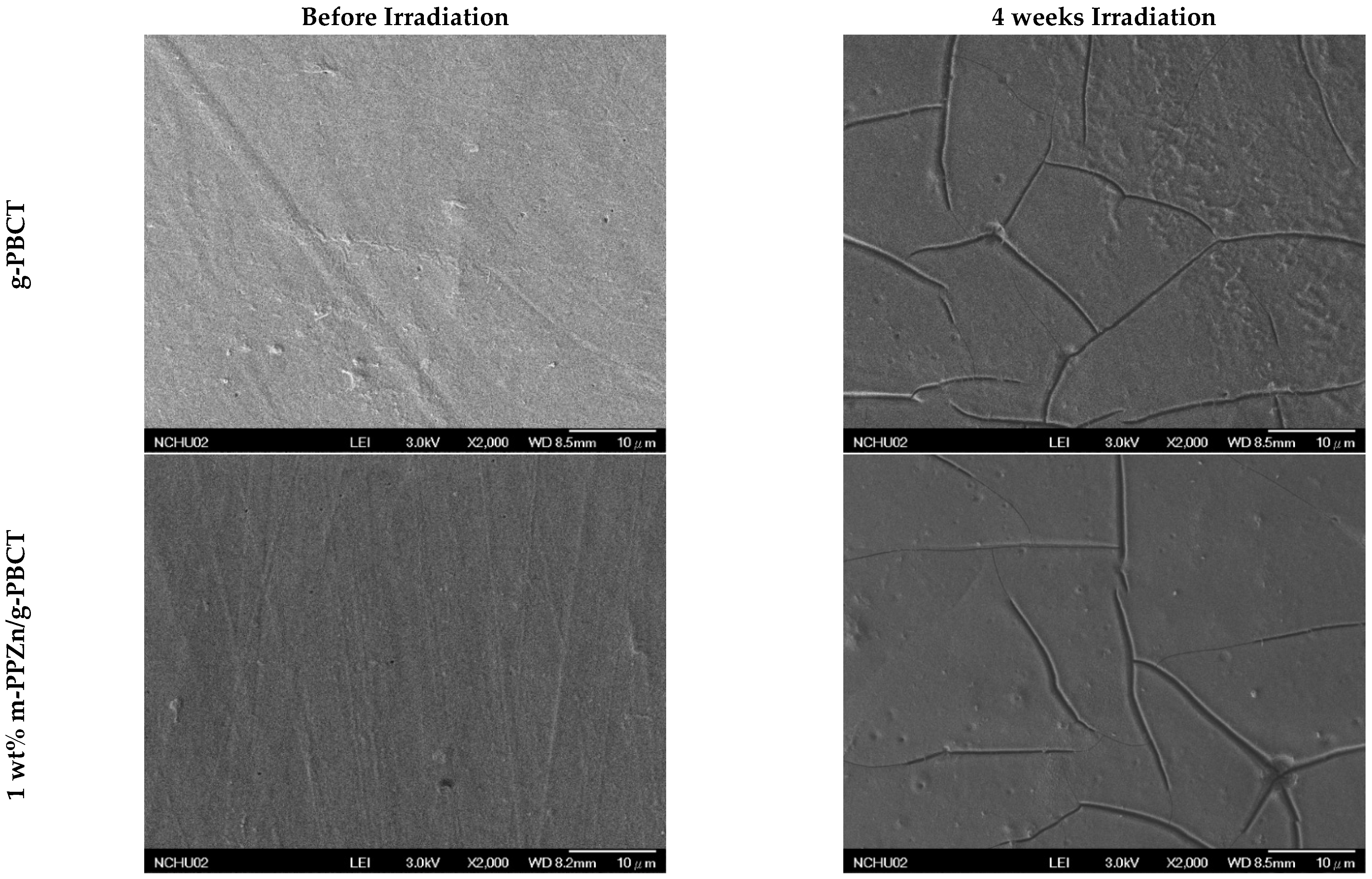 Polymers 15 01276 g010a