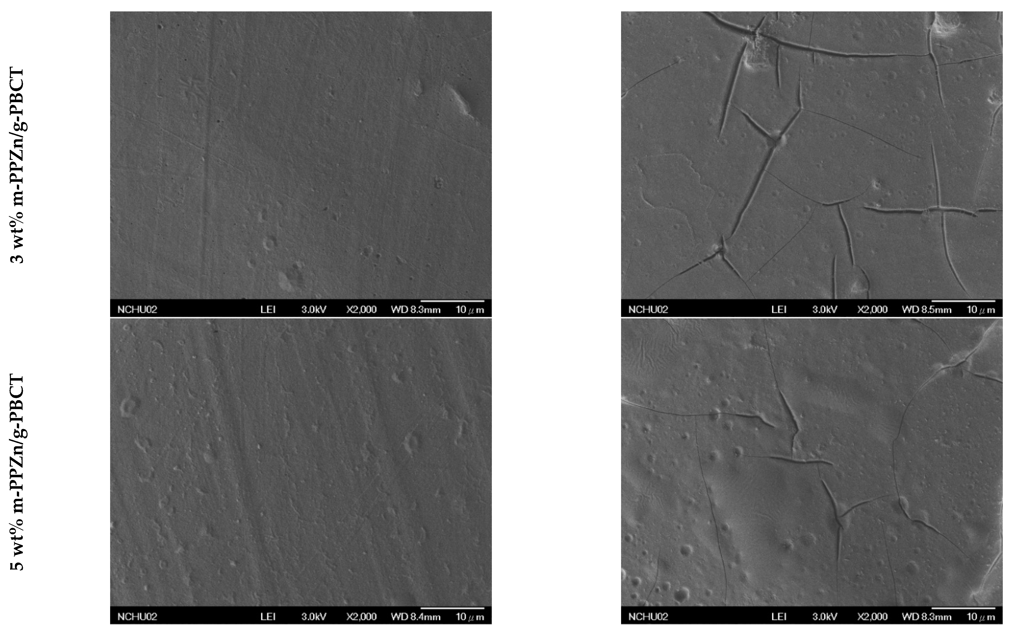 Polymers 15 01276 g010b
