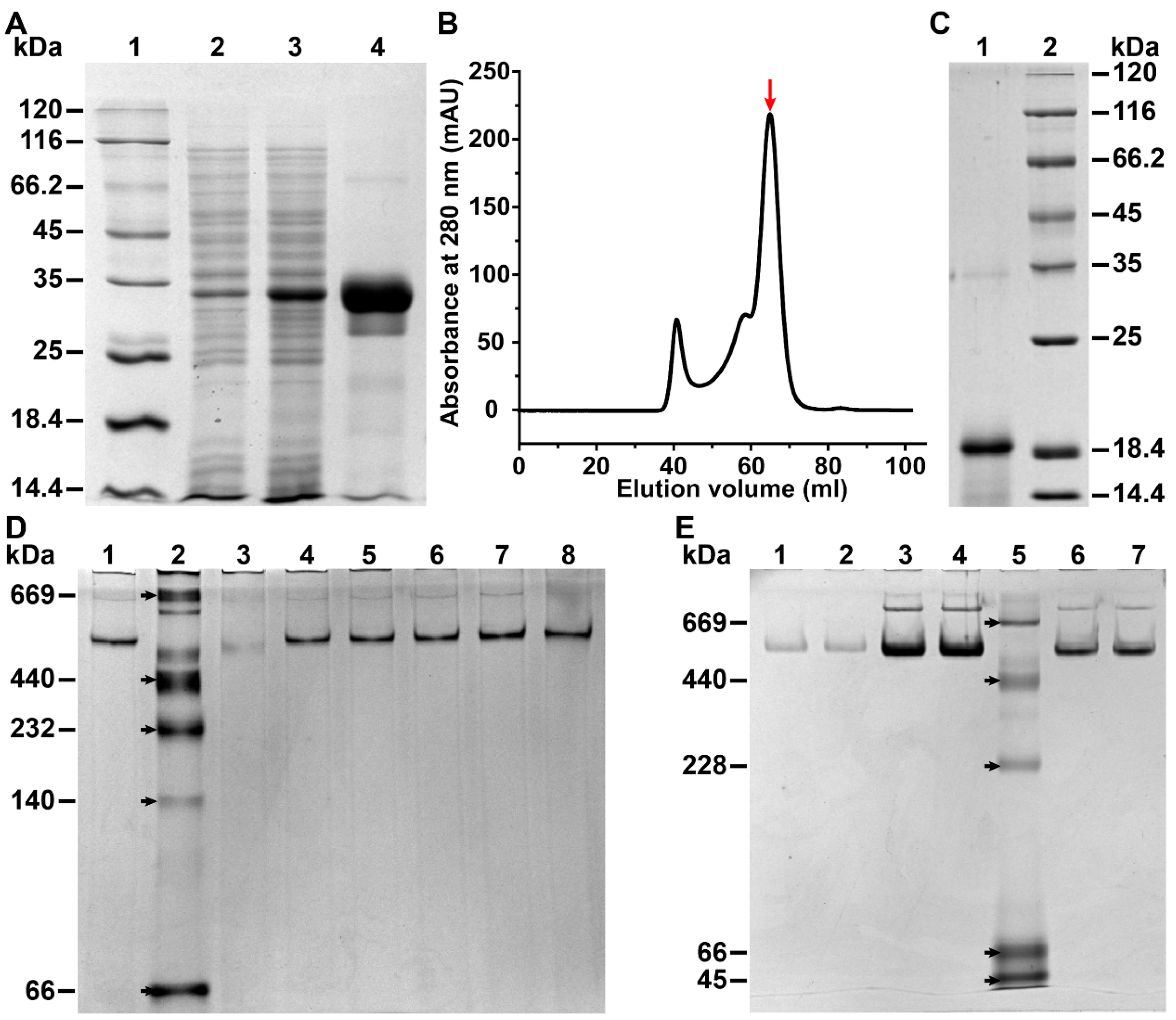 Polymers 15 01297 g001 Polymers 15 01297 g001