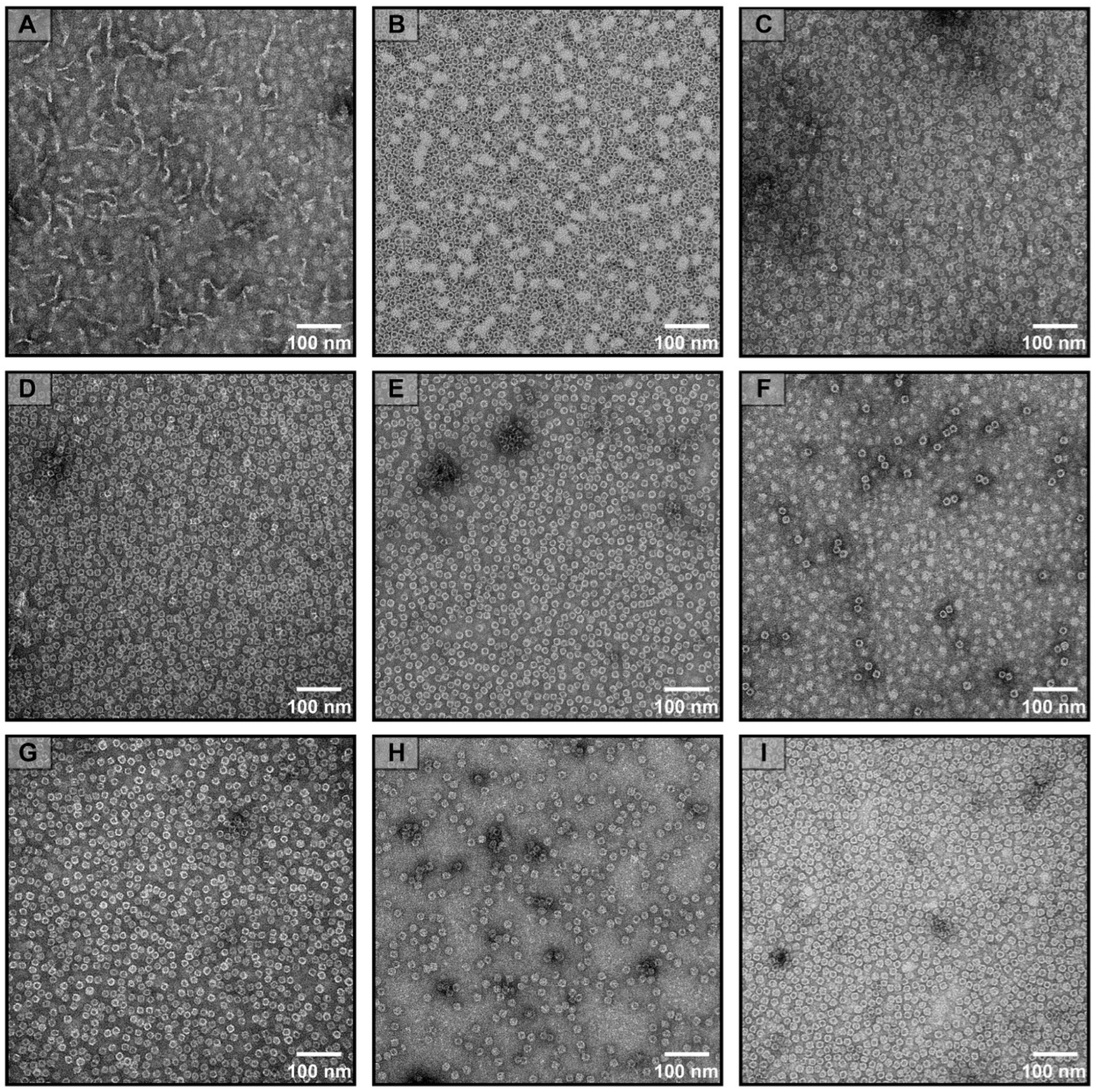 Polymers 15 01297 g002 Polymers 15 01297 g002