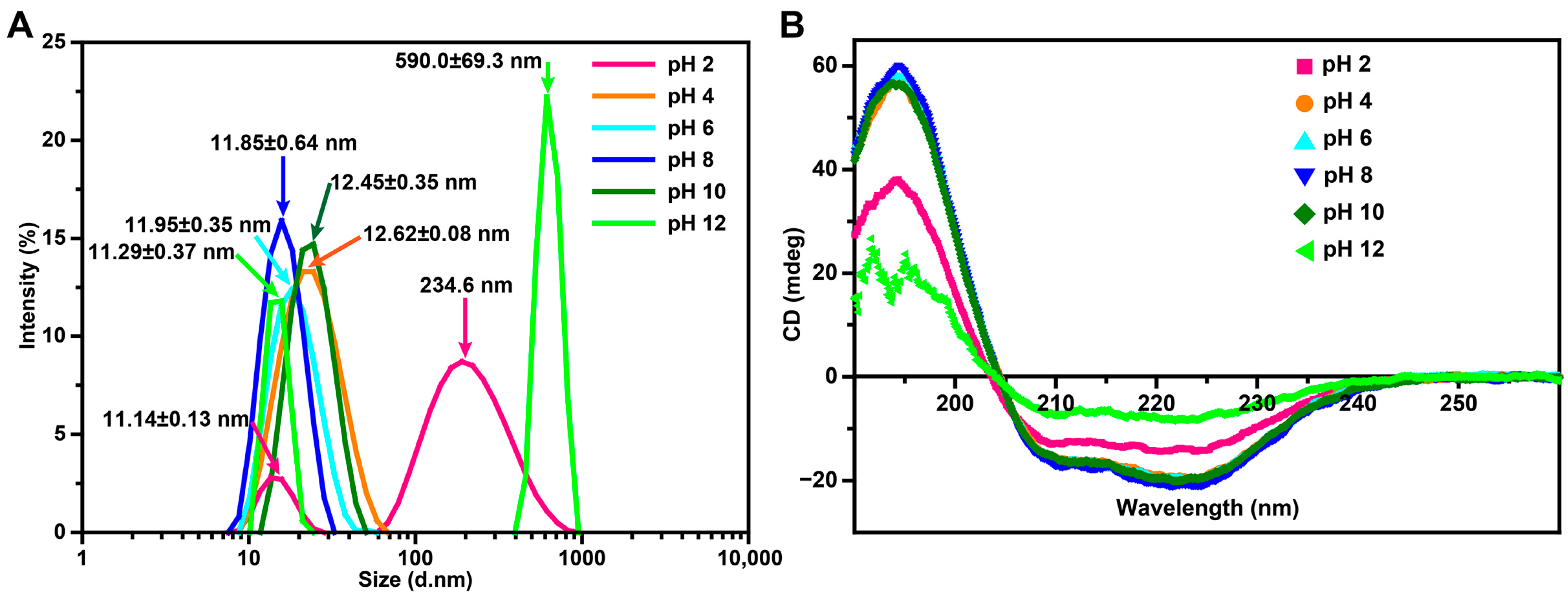 Polymers 15 01297 g003 Polymers 15 01297 g003