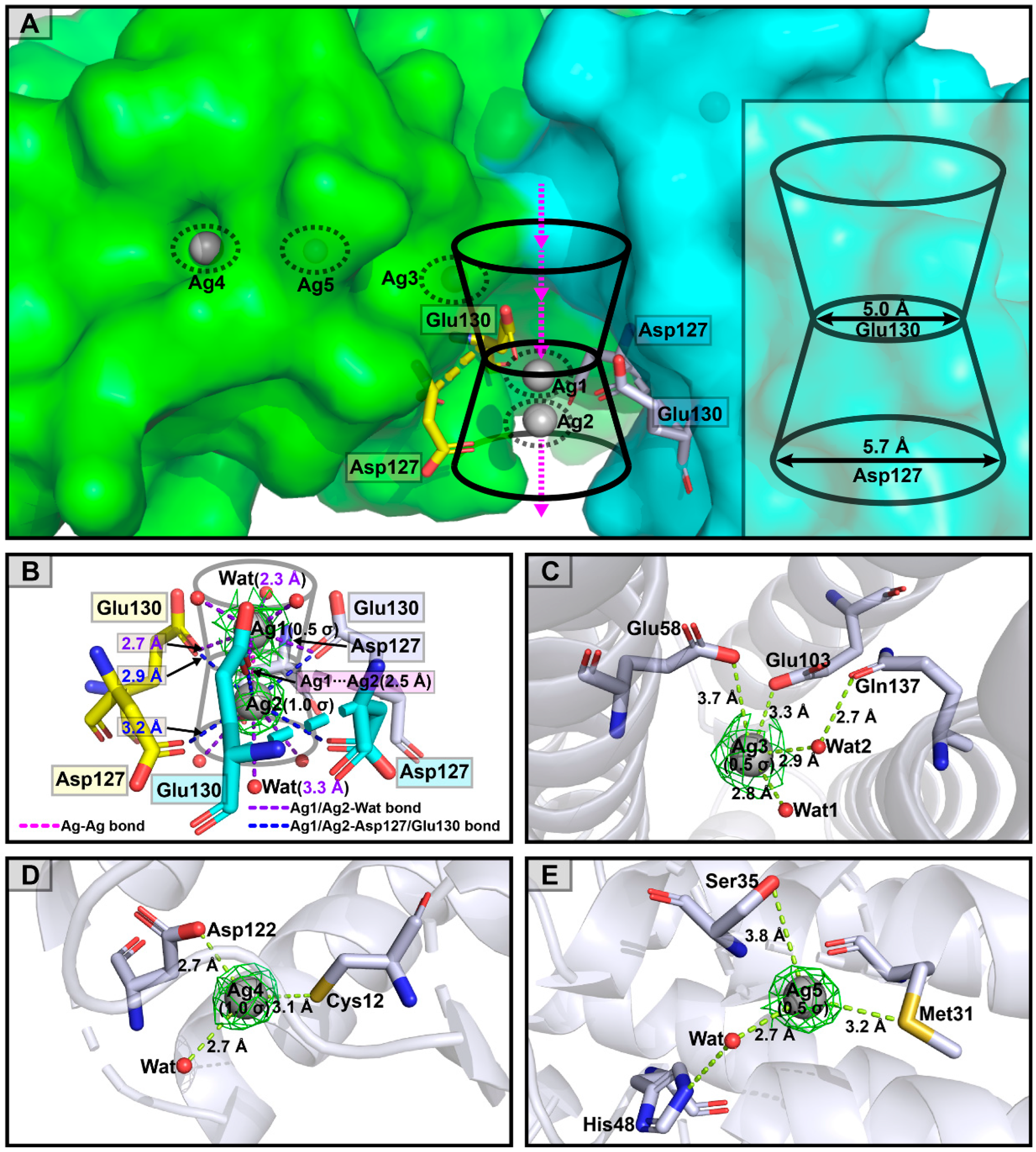 Polymers 15 01297 g006 Polymers 15 01297 g006
