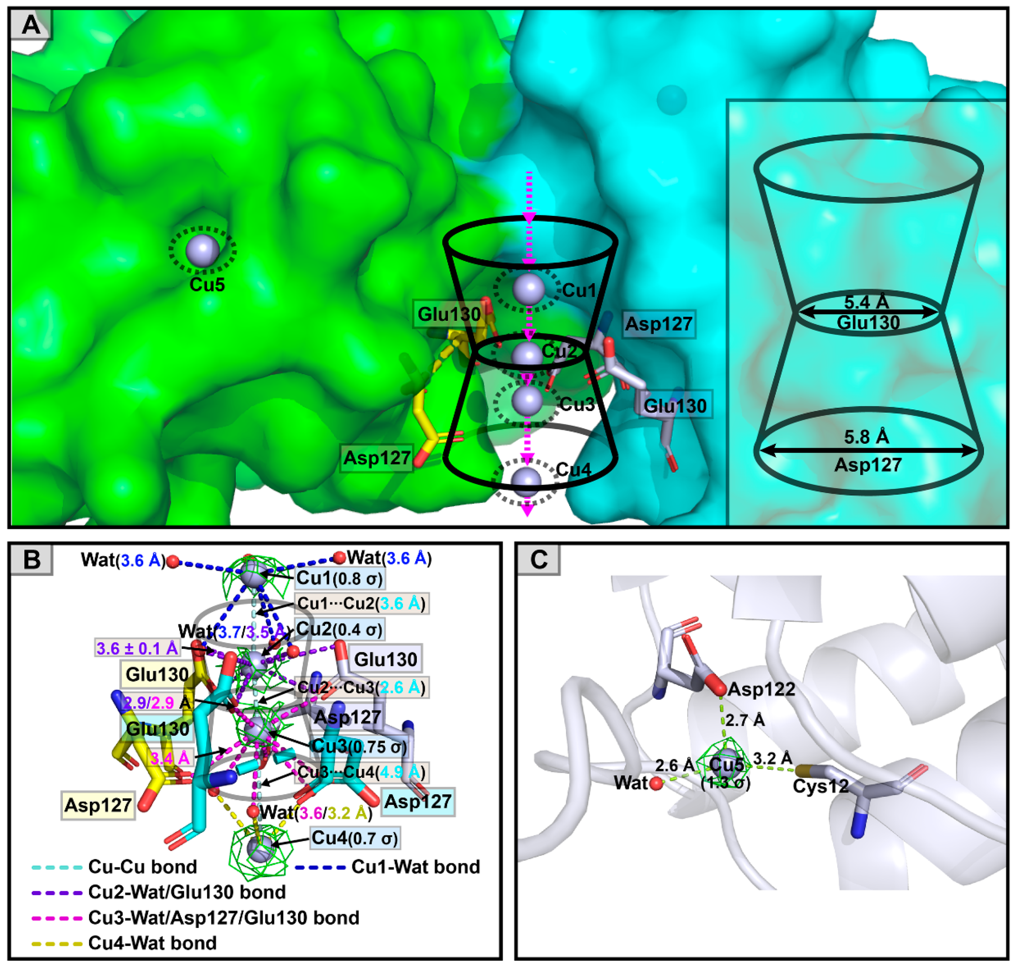 Polymers 15 01297 g007 Polymers 15 01297 g007