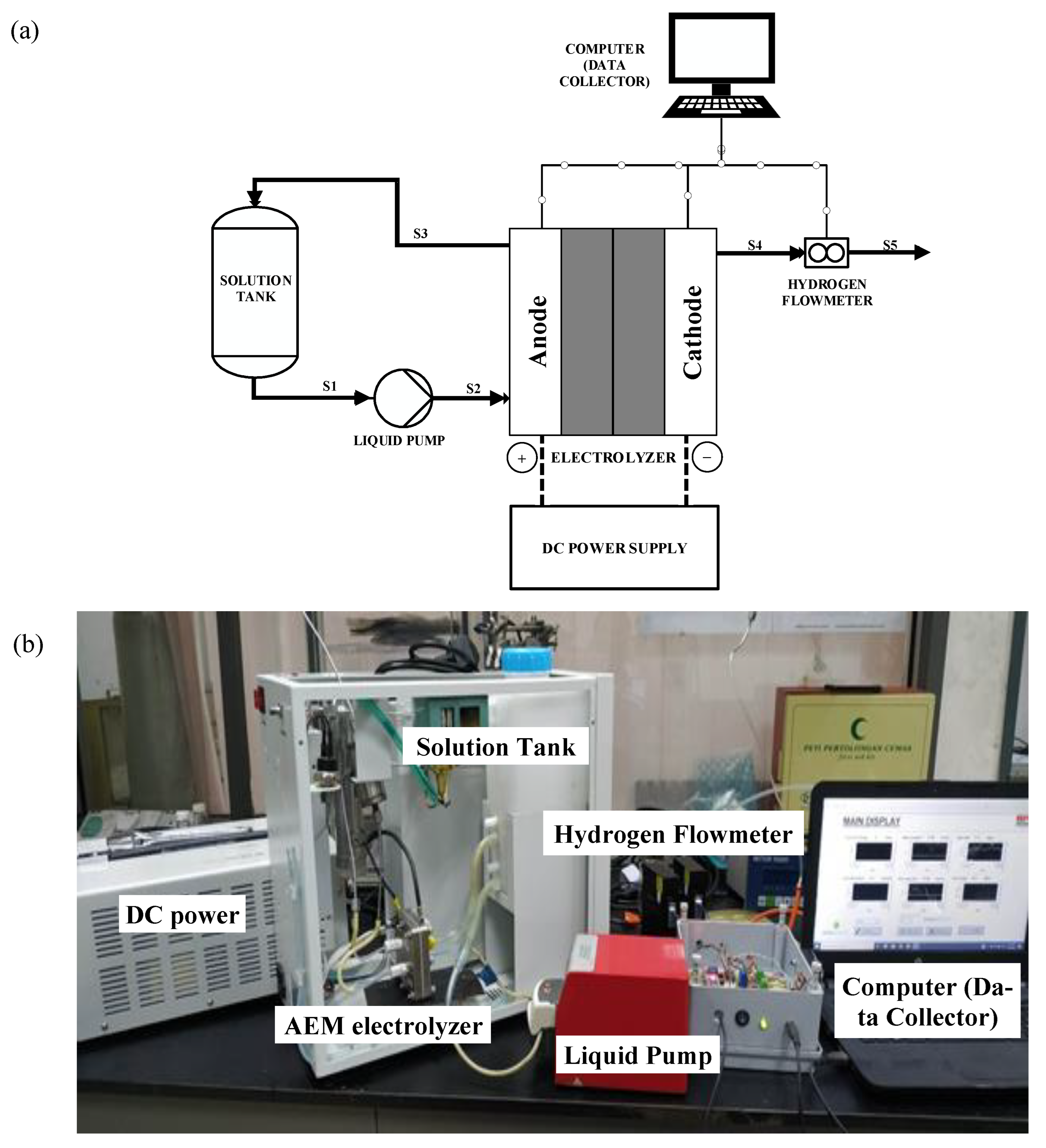 Polymers 15 01301 g001