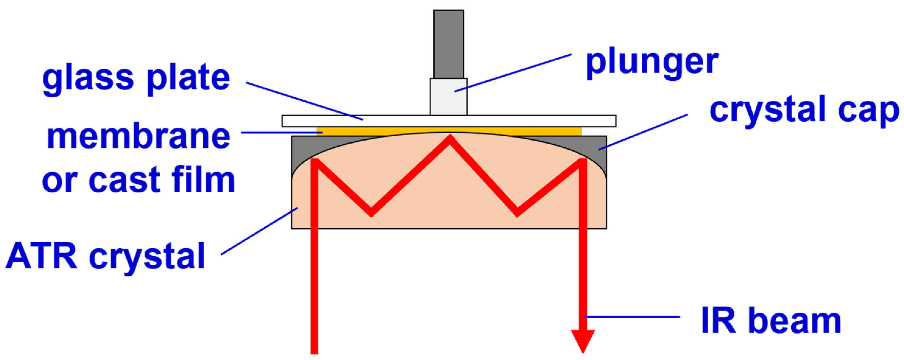 Polymers 15 01314 g003