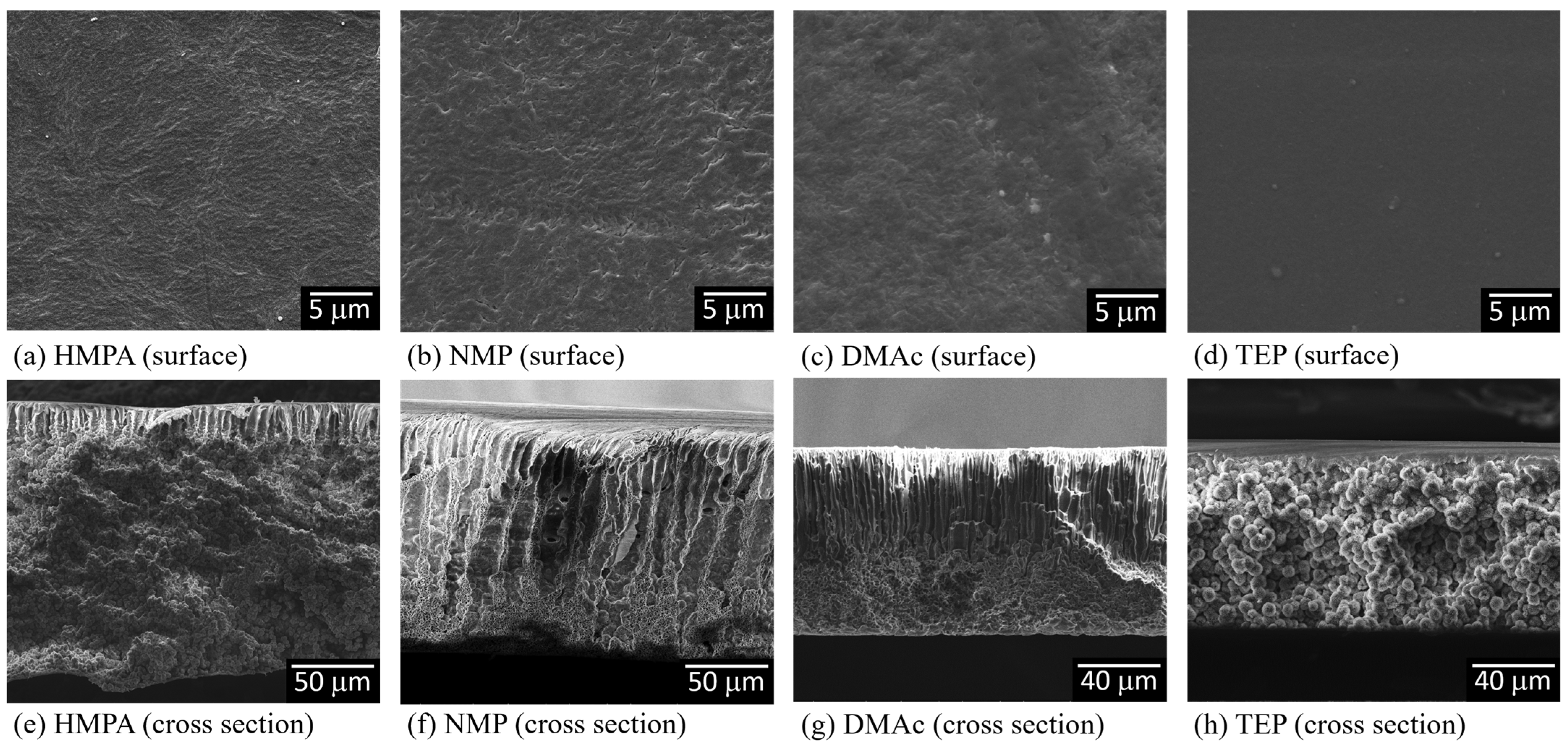 Polymers 15 01314 g004