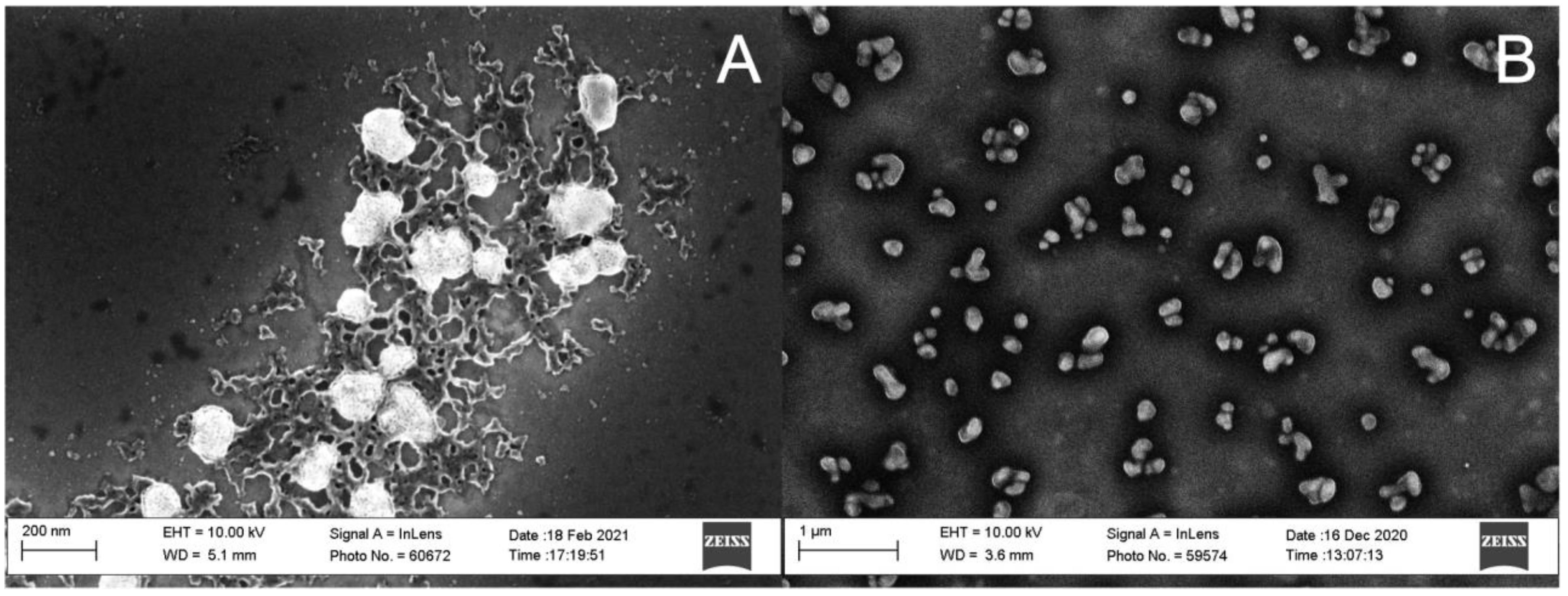 Polymers 15 01319 g006 Polymers 15 01319 g006