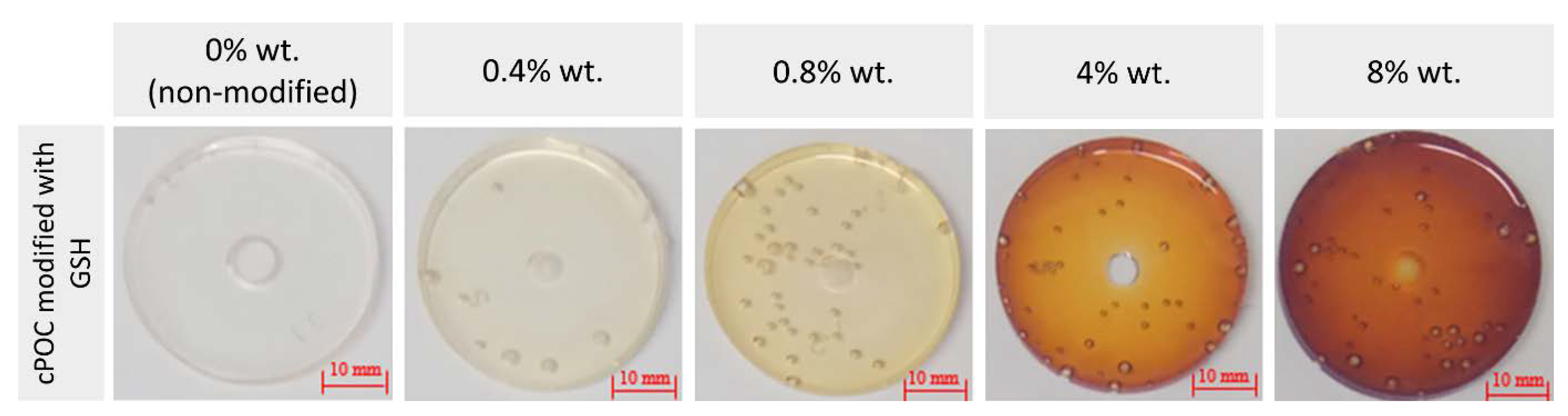 Polymers 15 01322 g001 Polymers 15 01322 g001