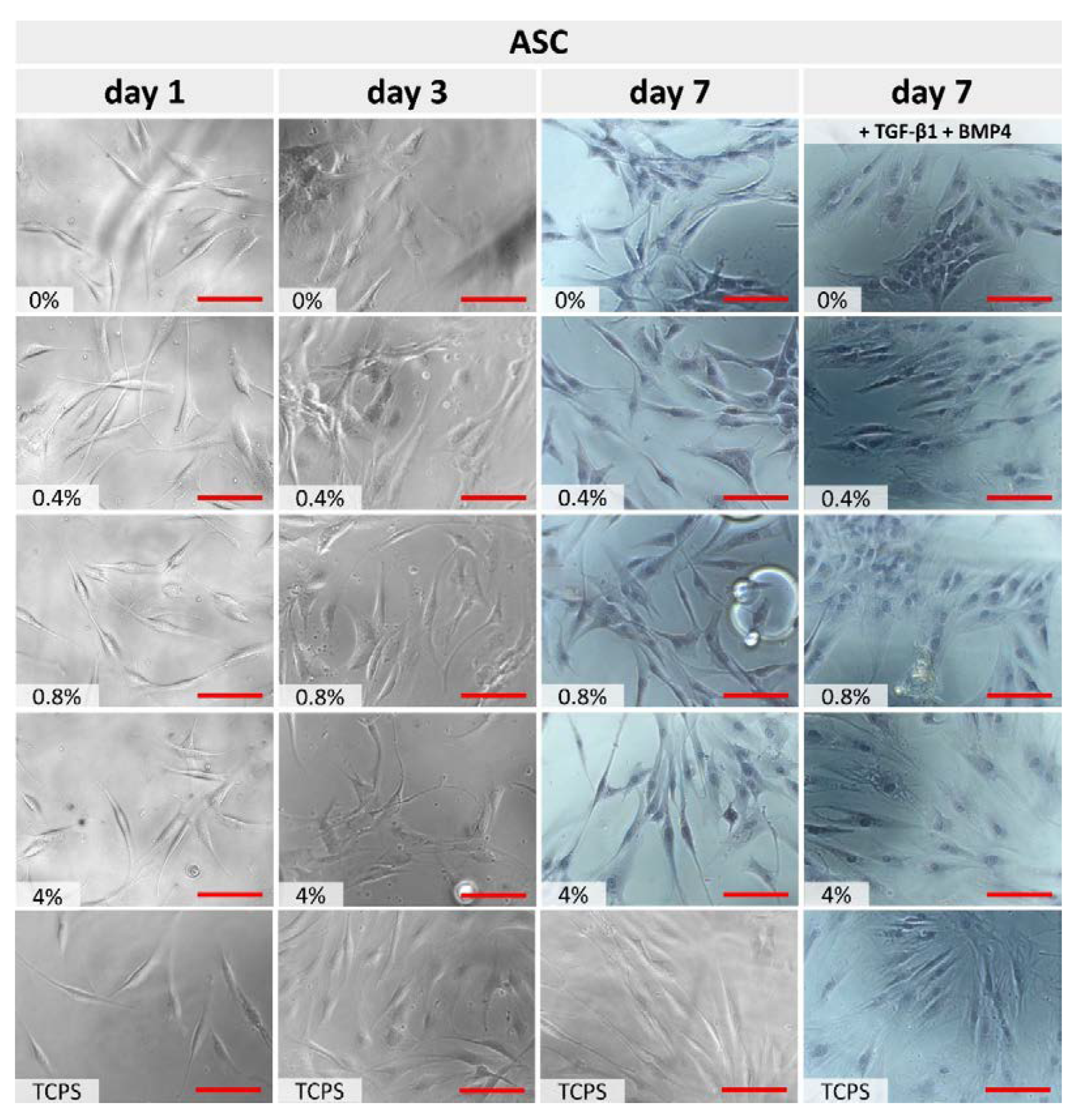 Polymers 15 01322 g005 Polymers 15 01322 g005