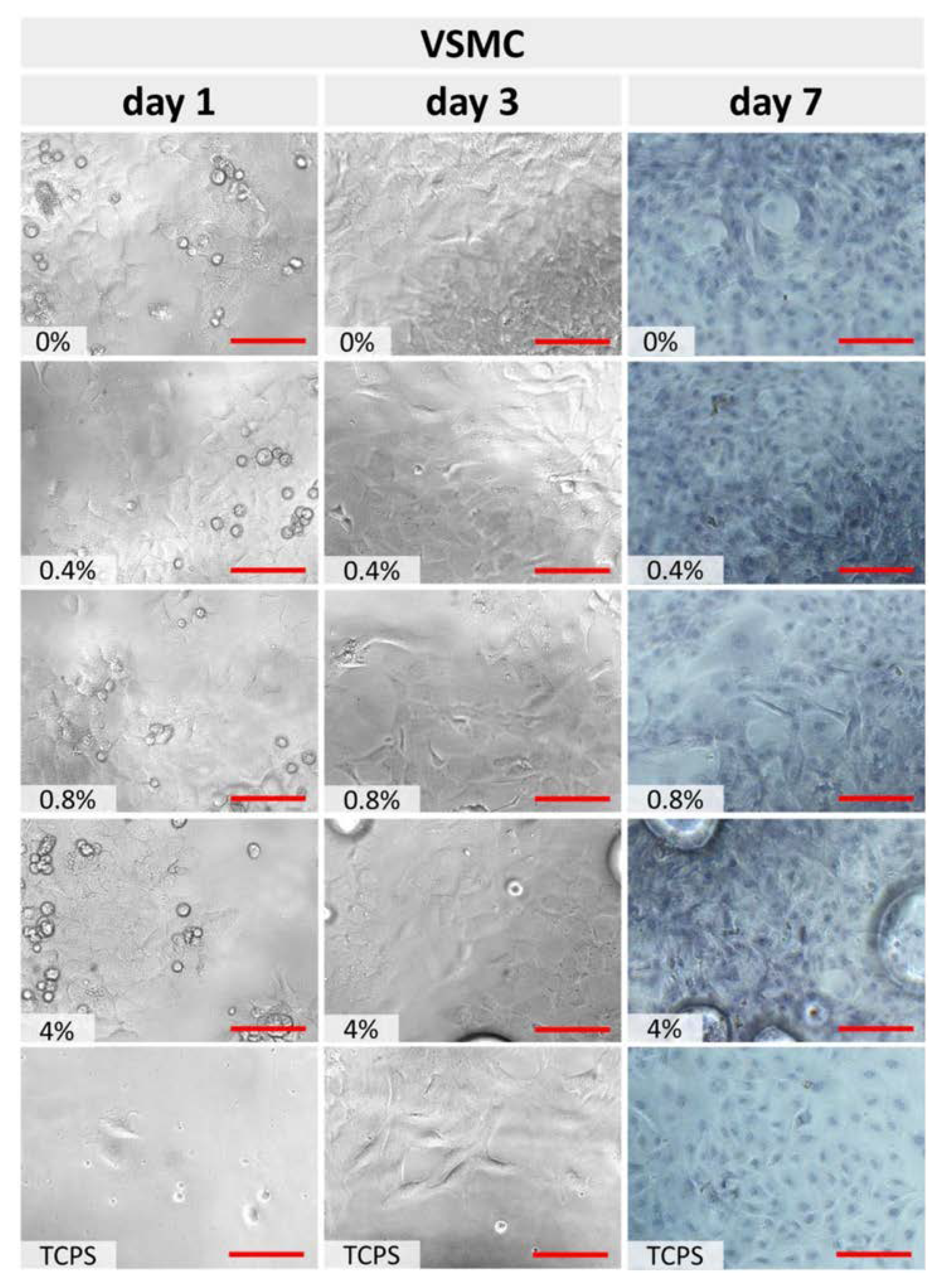 Polymers 15 01322 g006 Polymers 15 01322 g006