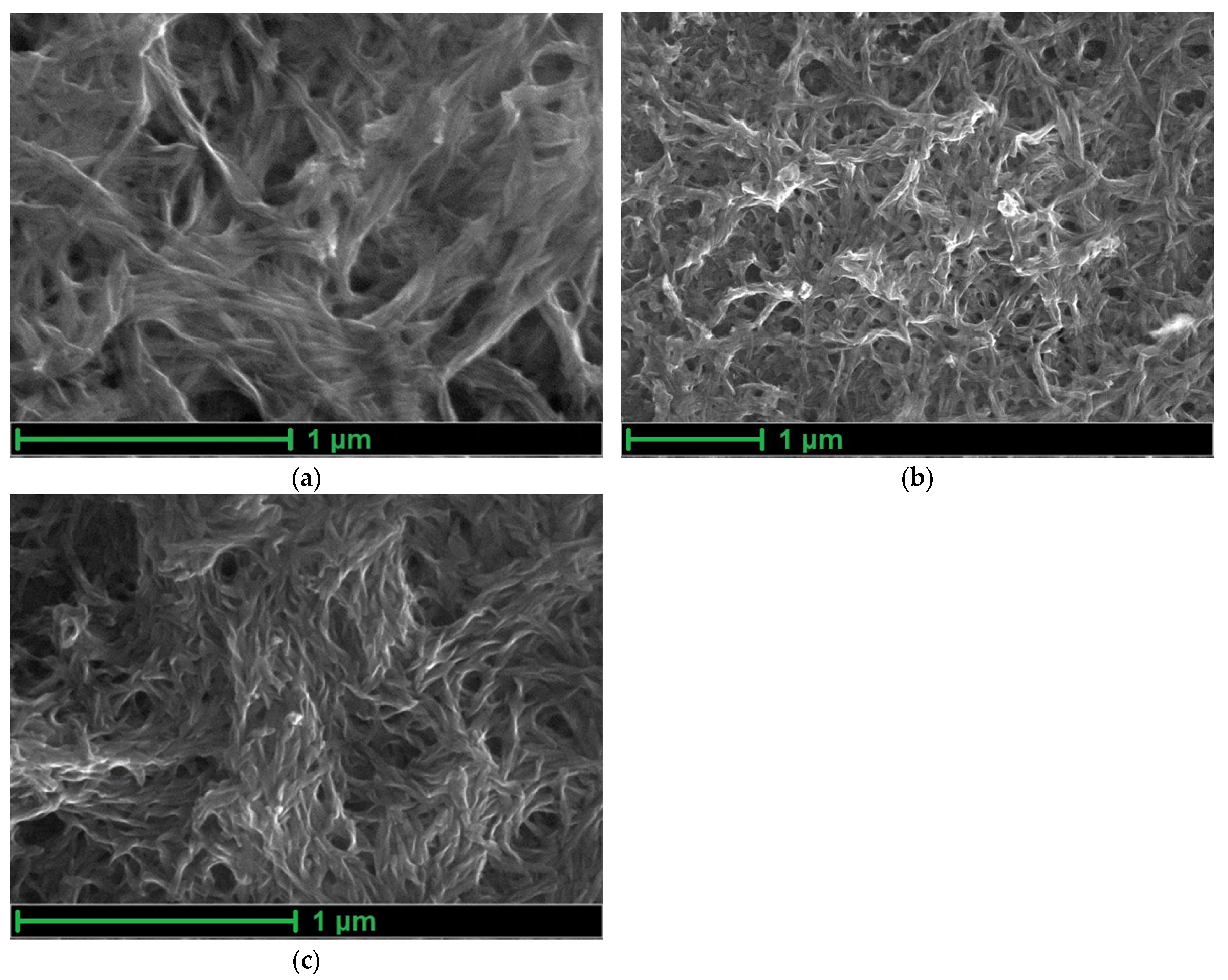 Polymers 15 01323 g002