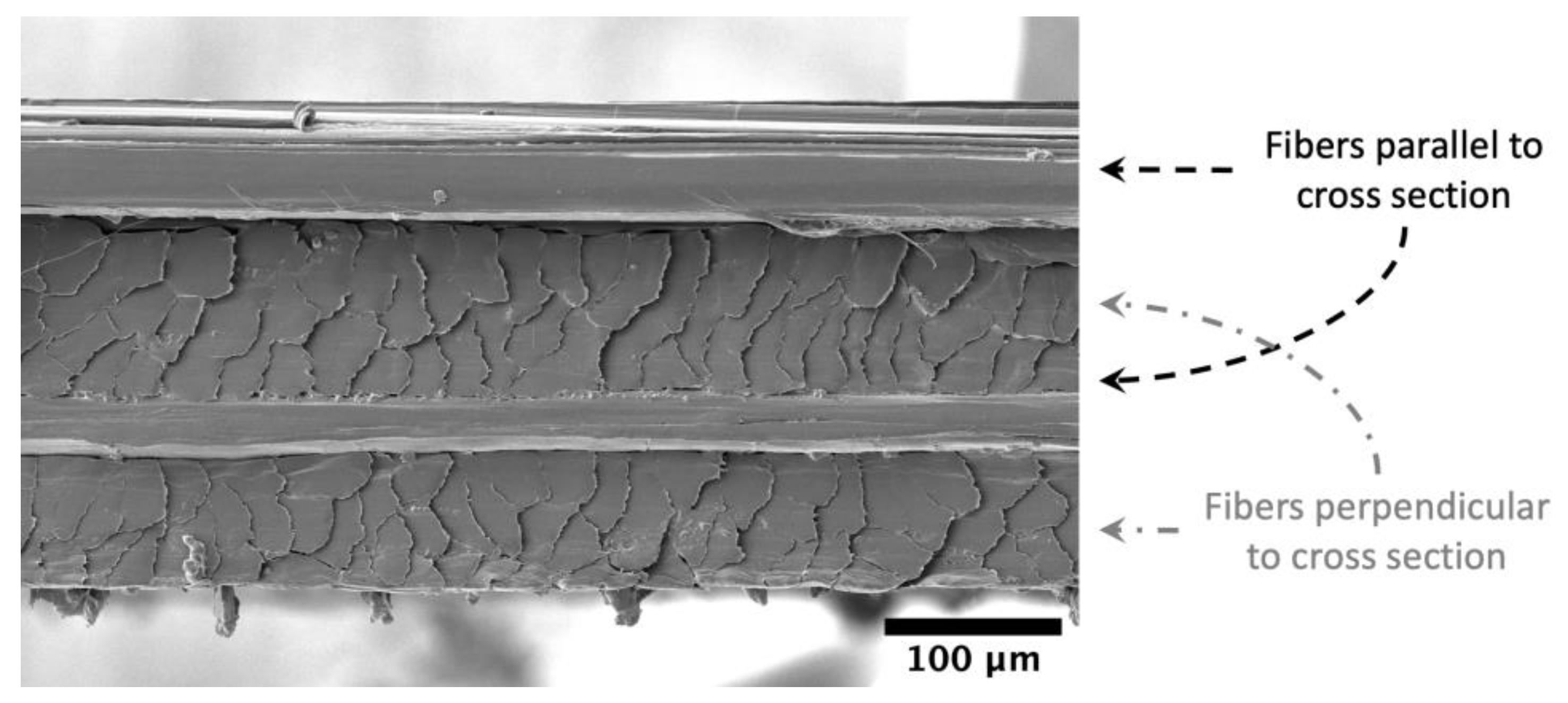 Polymers 15 01347 g003