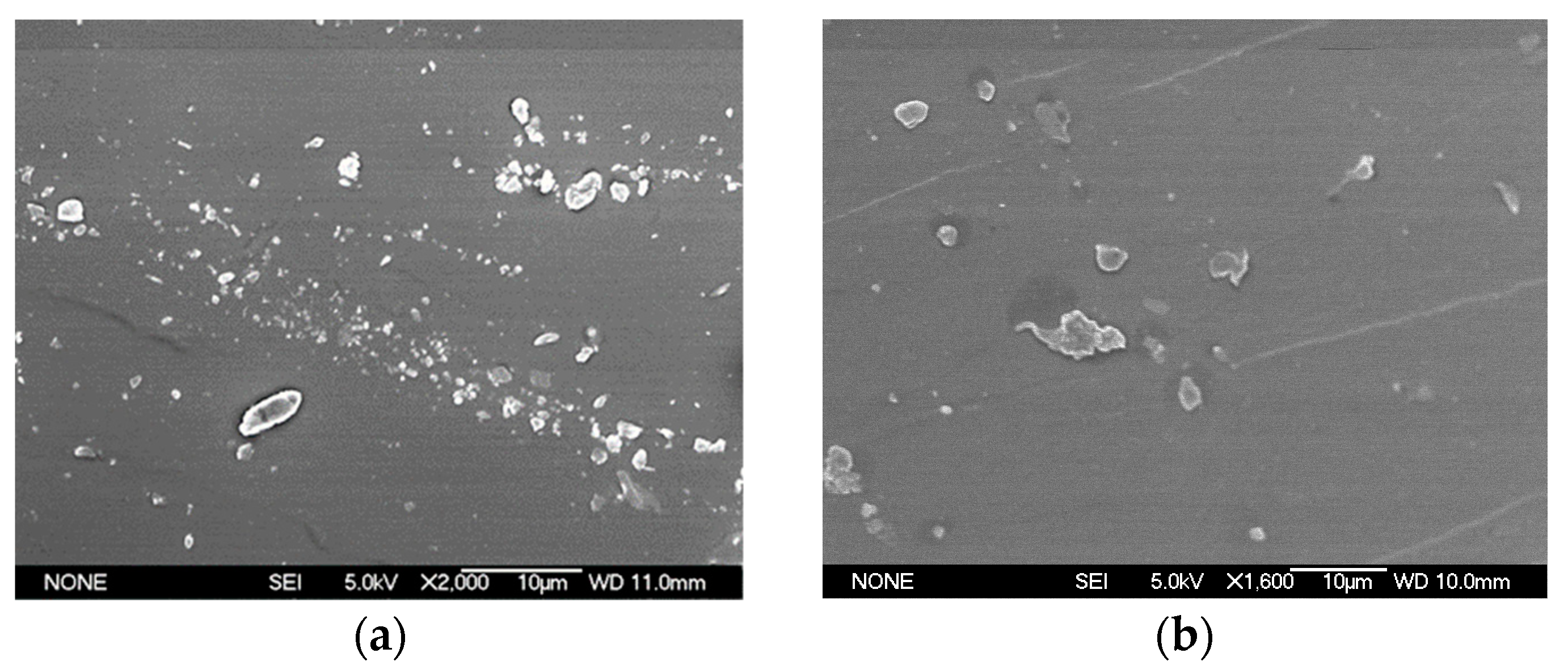 Polymers 15 01353 g002a