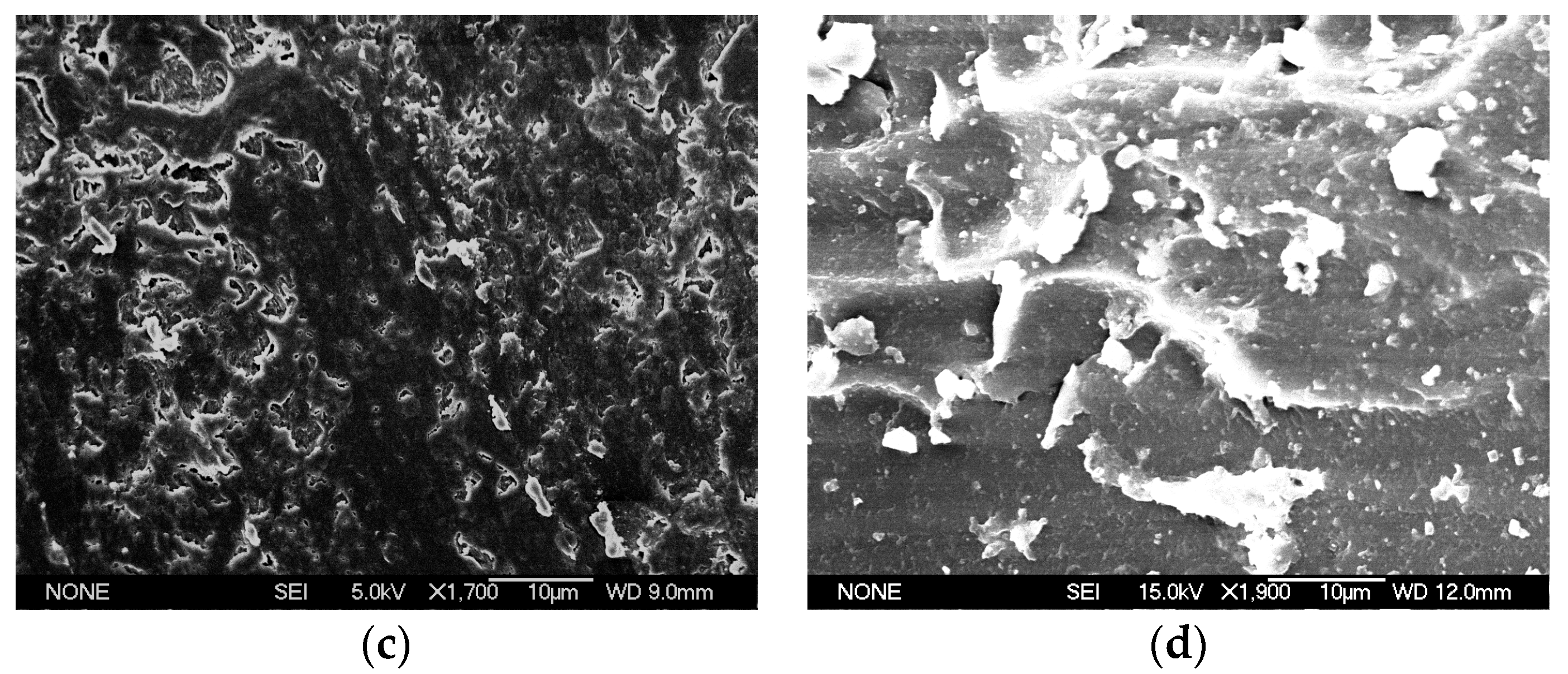Polymers 15 01353 g002b