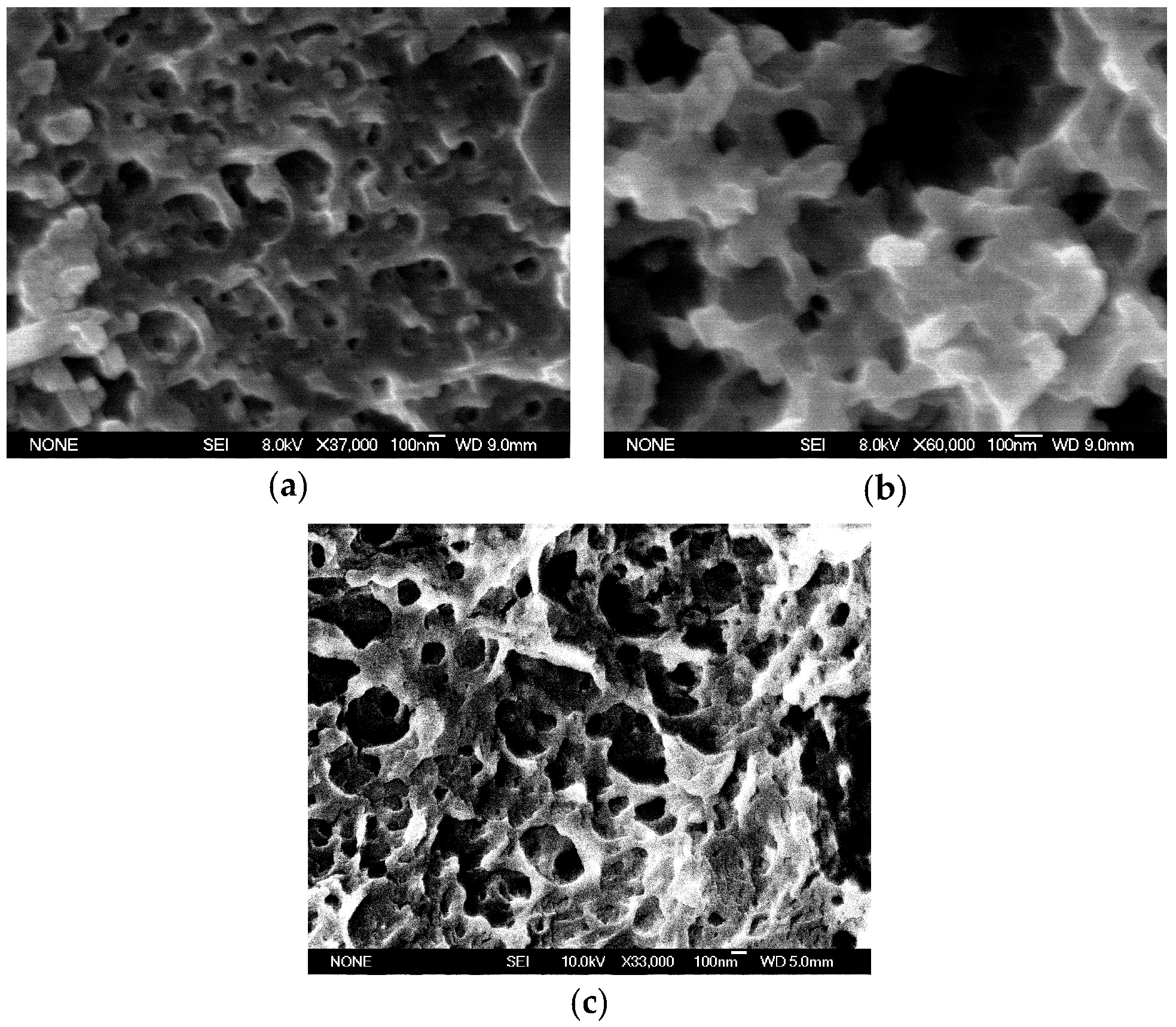 Polymers 15 01353 g003